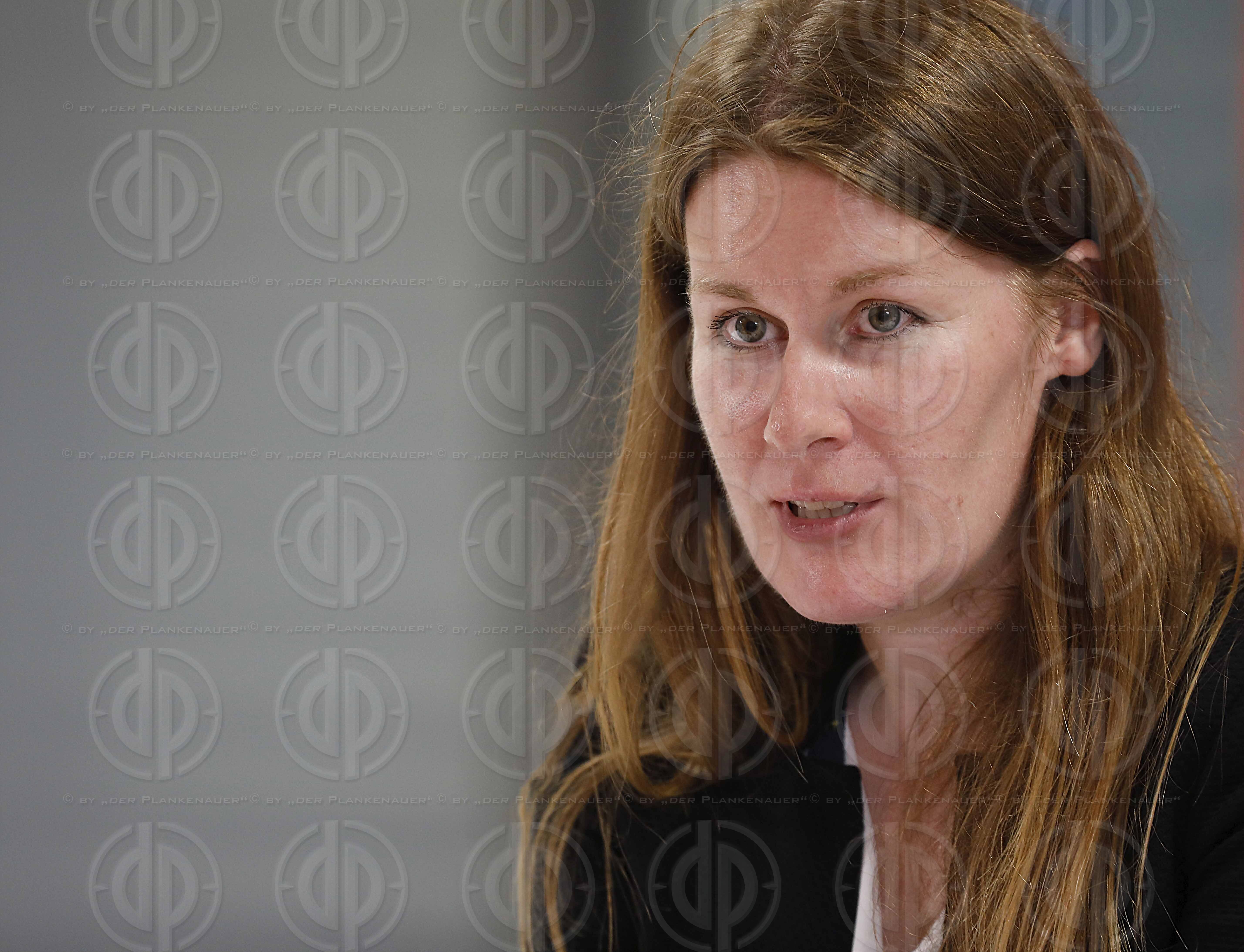 Laenderspiel Oesterreich vs. Deutschland (2:1)