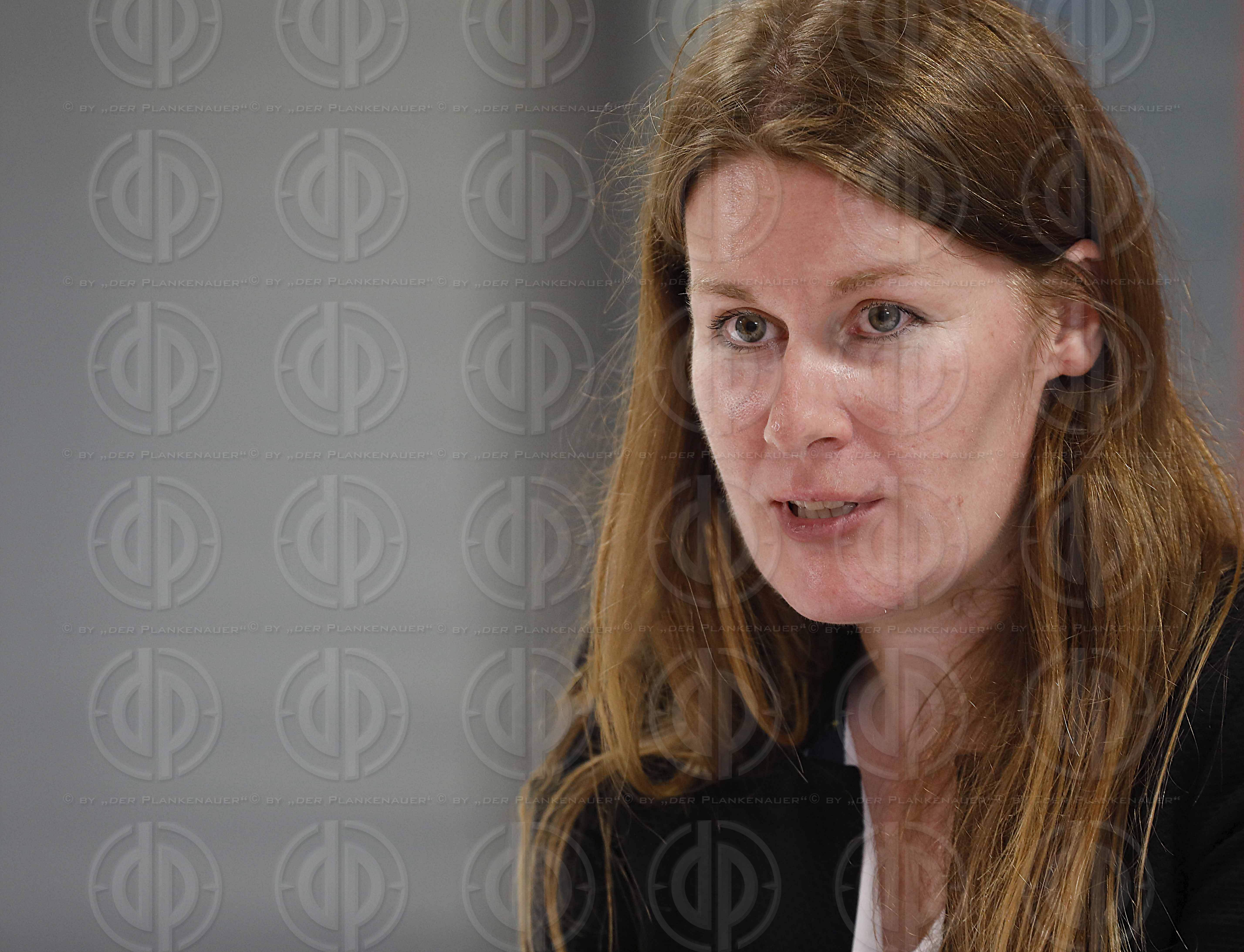 Laenderspiel Oesterreich vs. Deutschland (2:1)