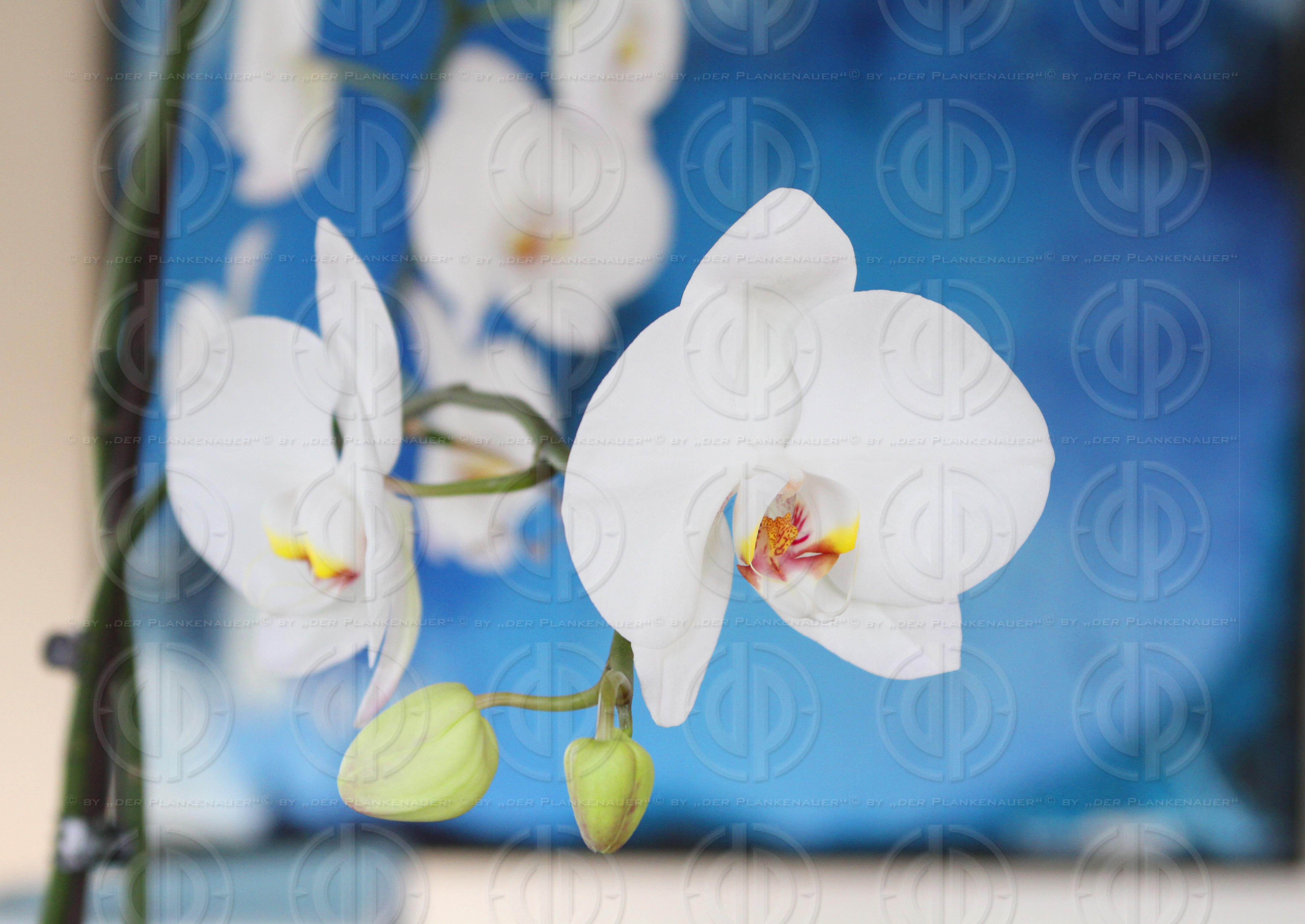 Rechtsanwälte Dr. Christandl und Partner