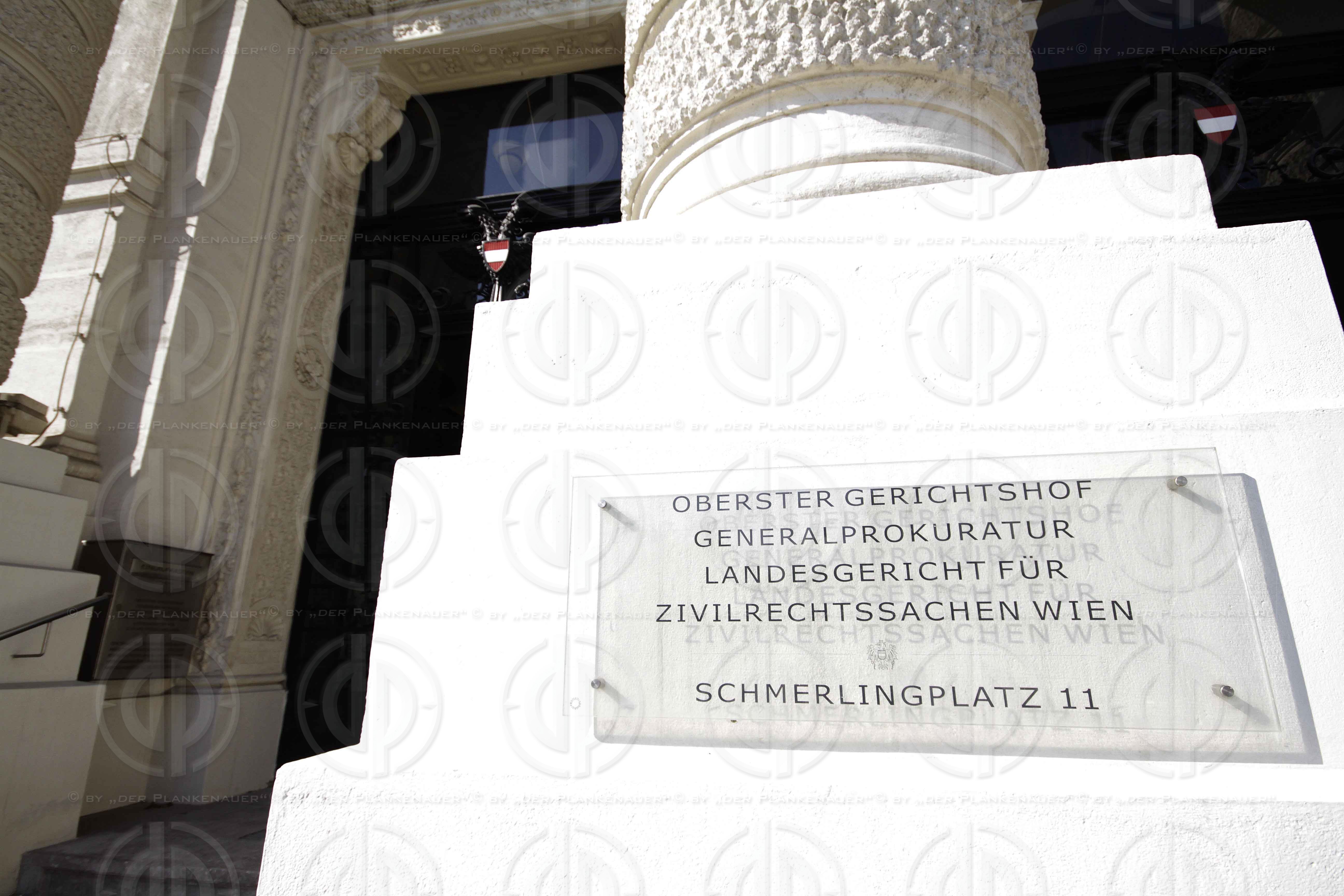 Strafverfahren gegen Hannes KARTNIG beim OGH