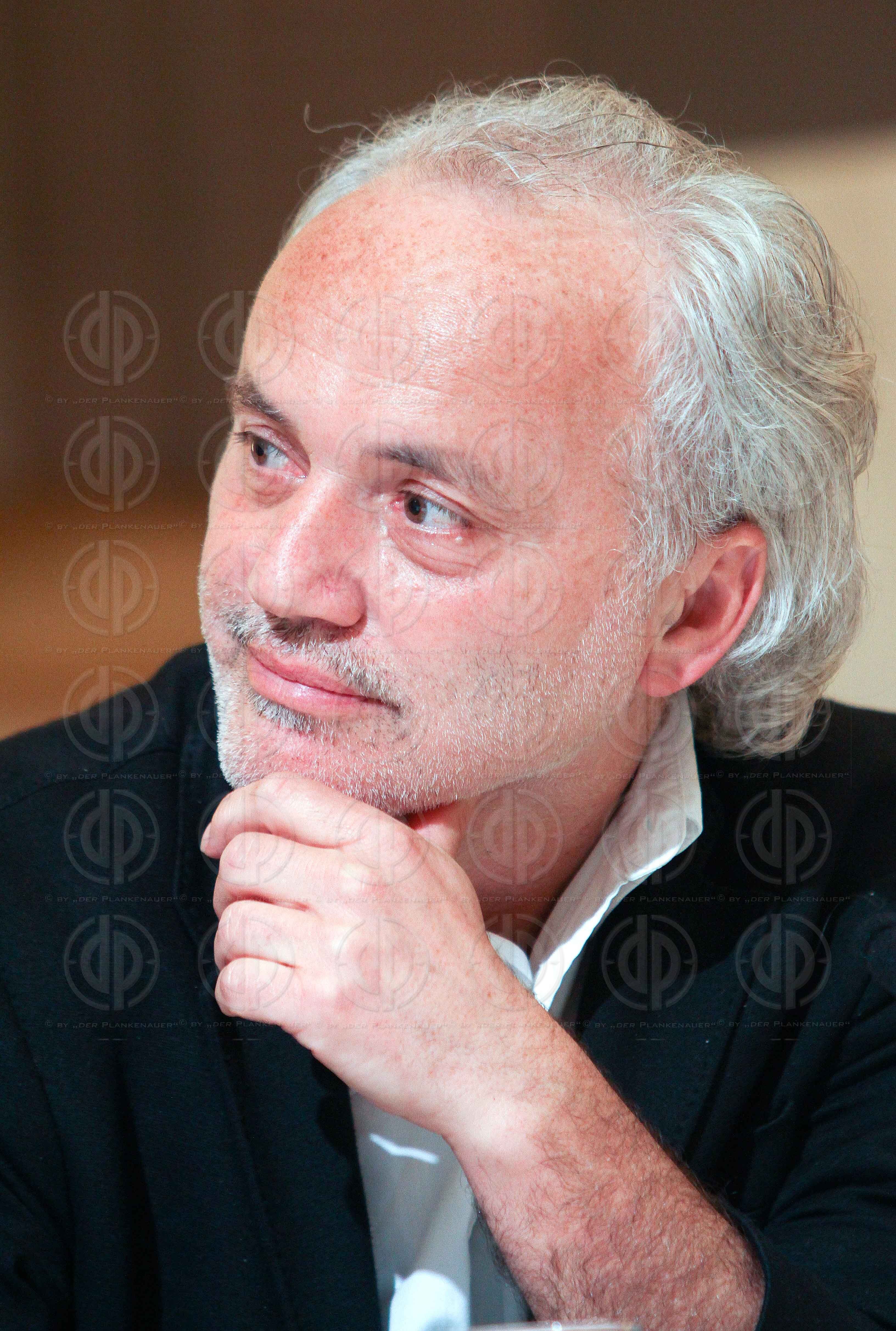 Oesterreich eine Mediokratie?