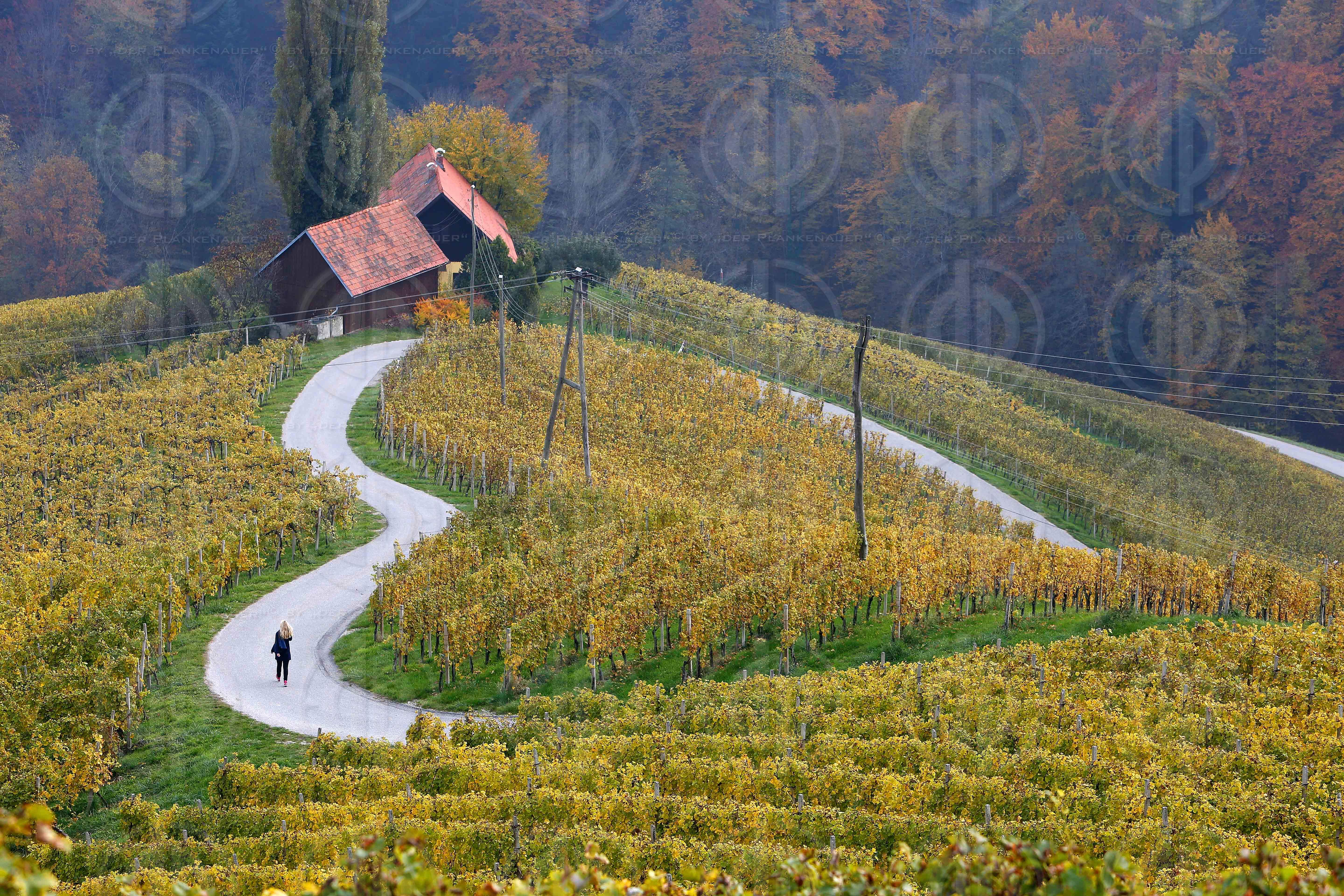 Fluechlingskrise an der Grenze in Strass-Spielfeld