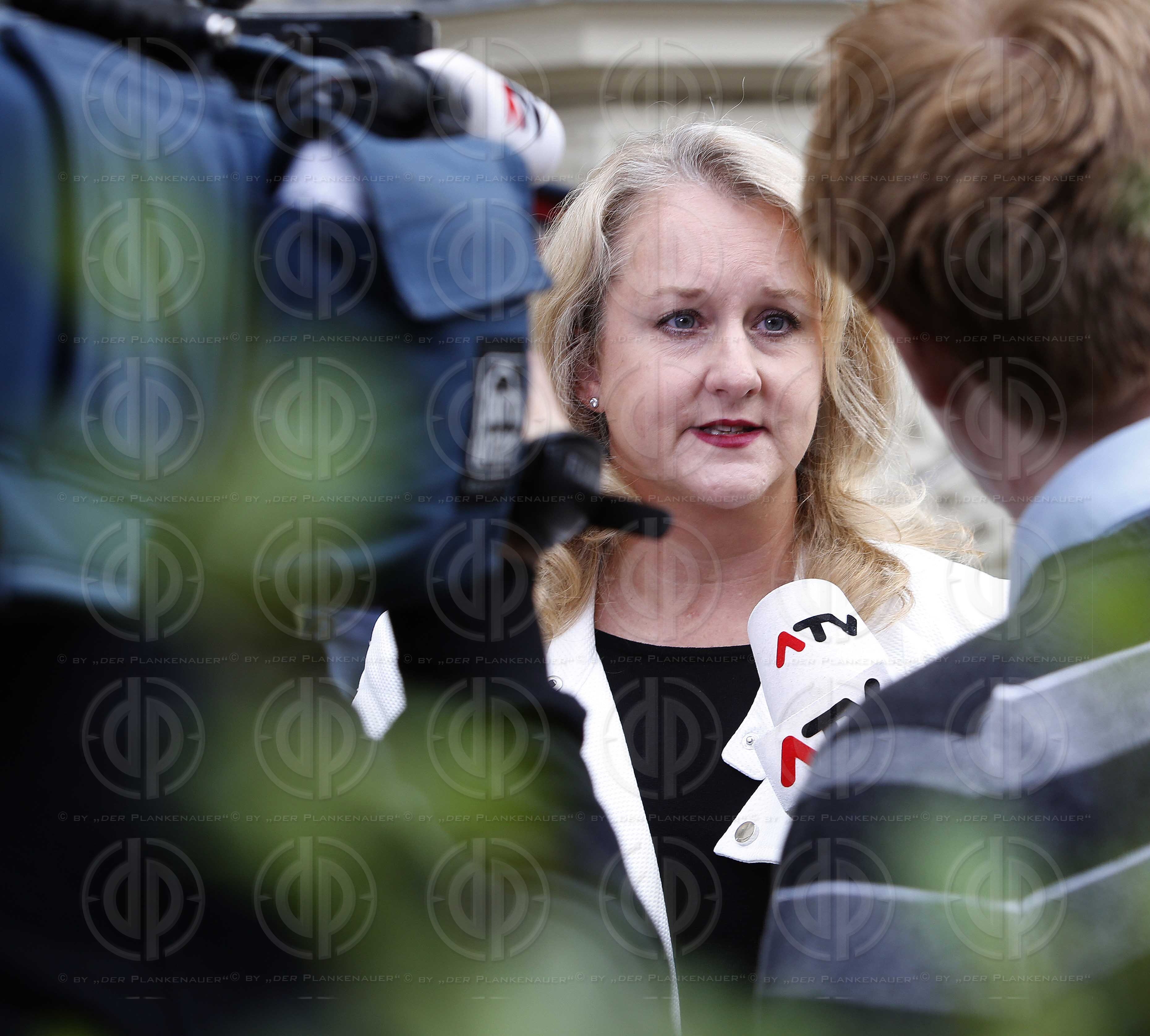 Schwurgerichtsprozess Amokfahrer Alen R.