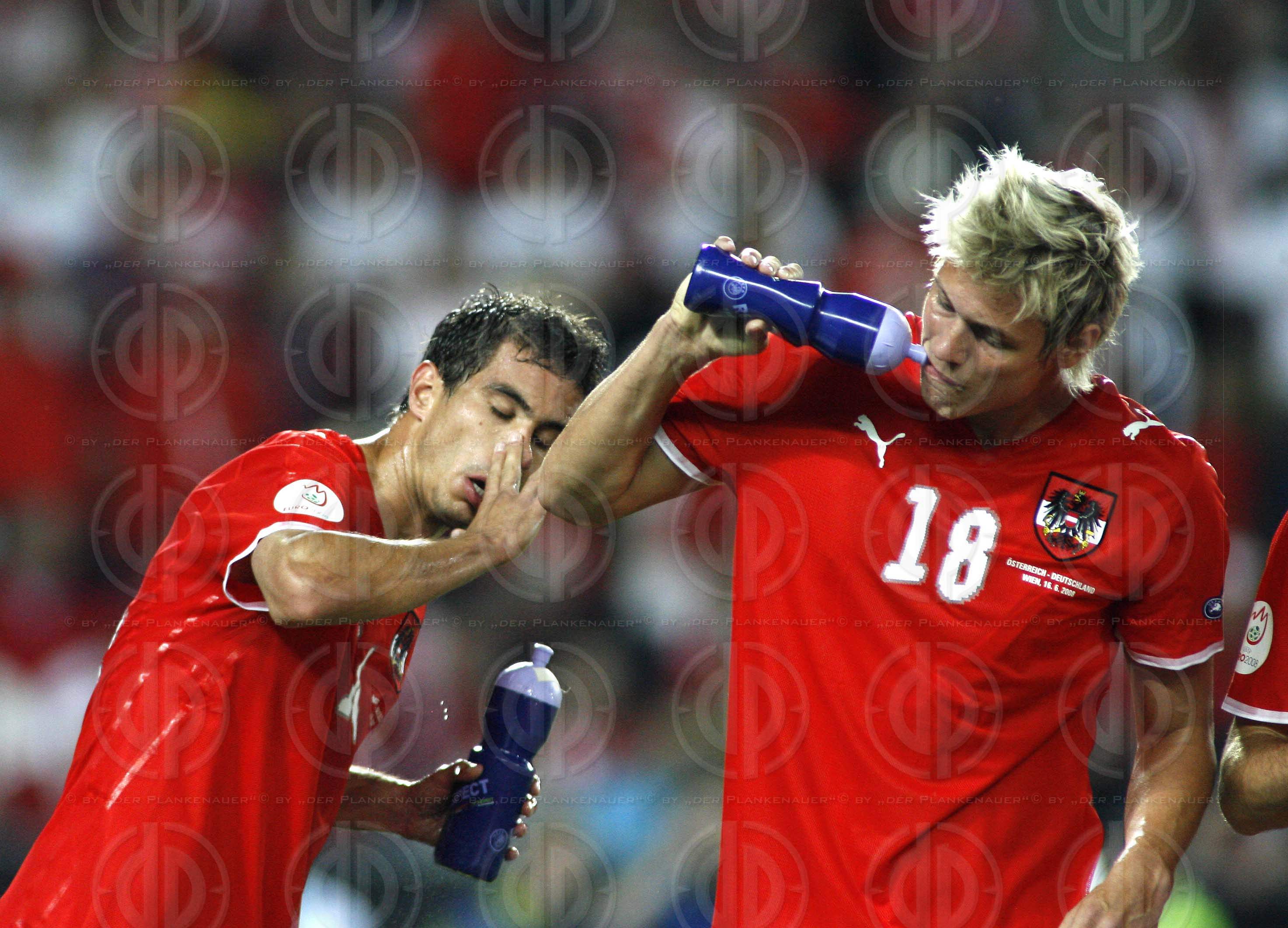 UEFA EURO2008 Österreich vs. Deutschland (0:1)