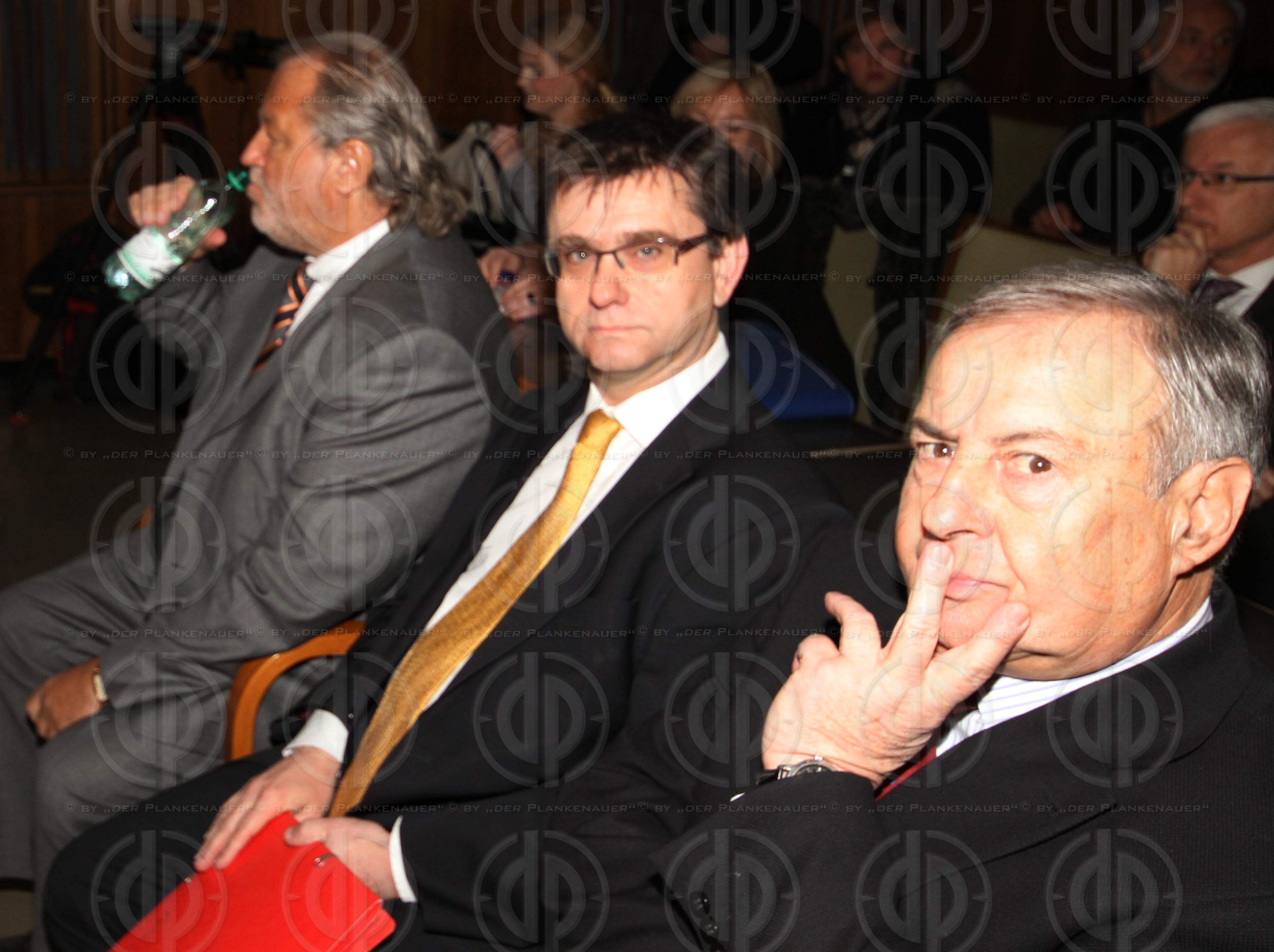 Strafverfahren gegen Hannes KARTNIG u.a.