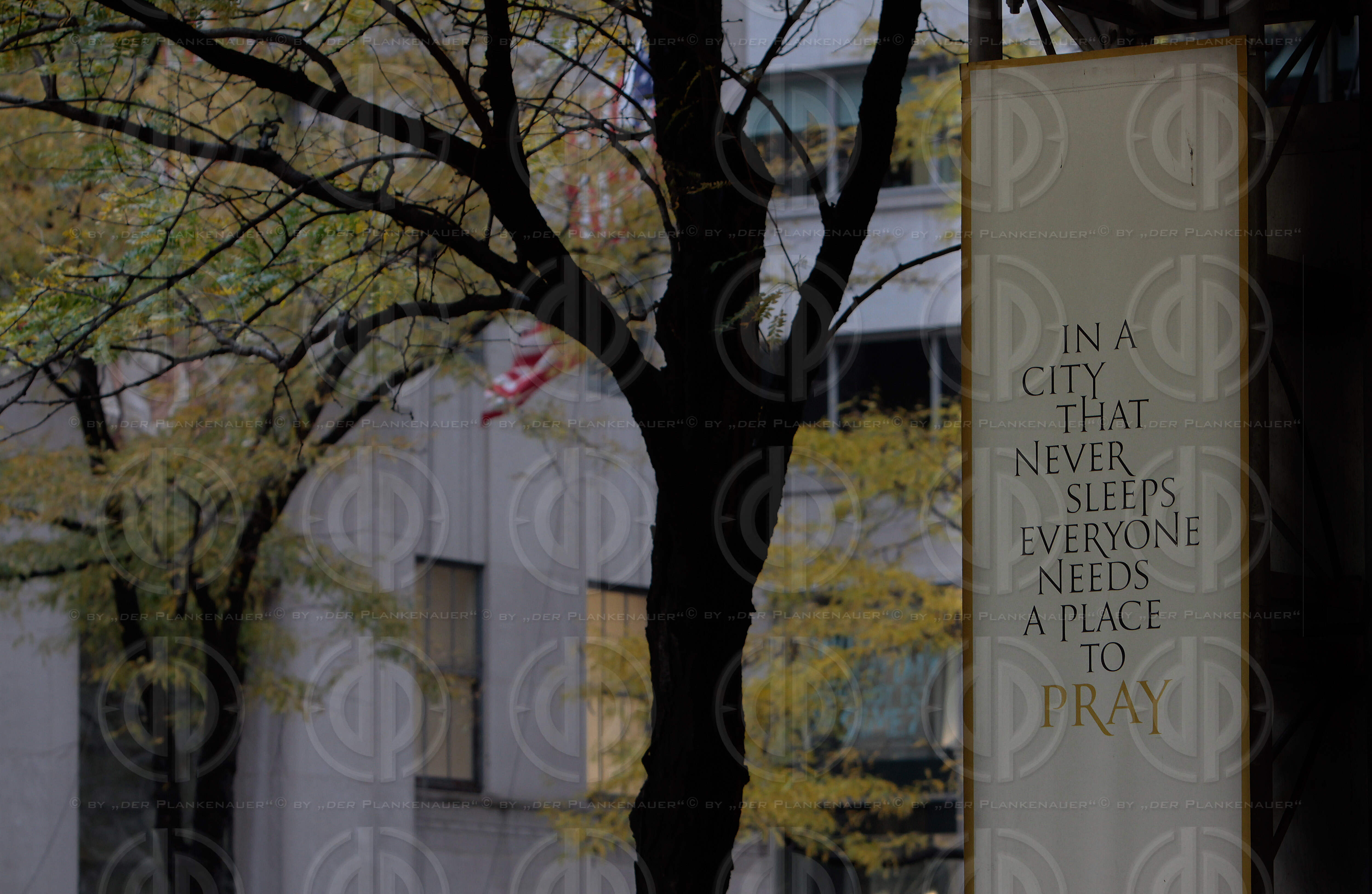 St. Patricks Kathedrale