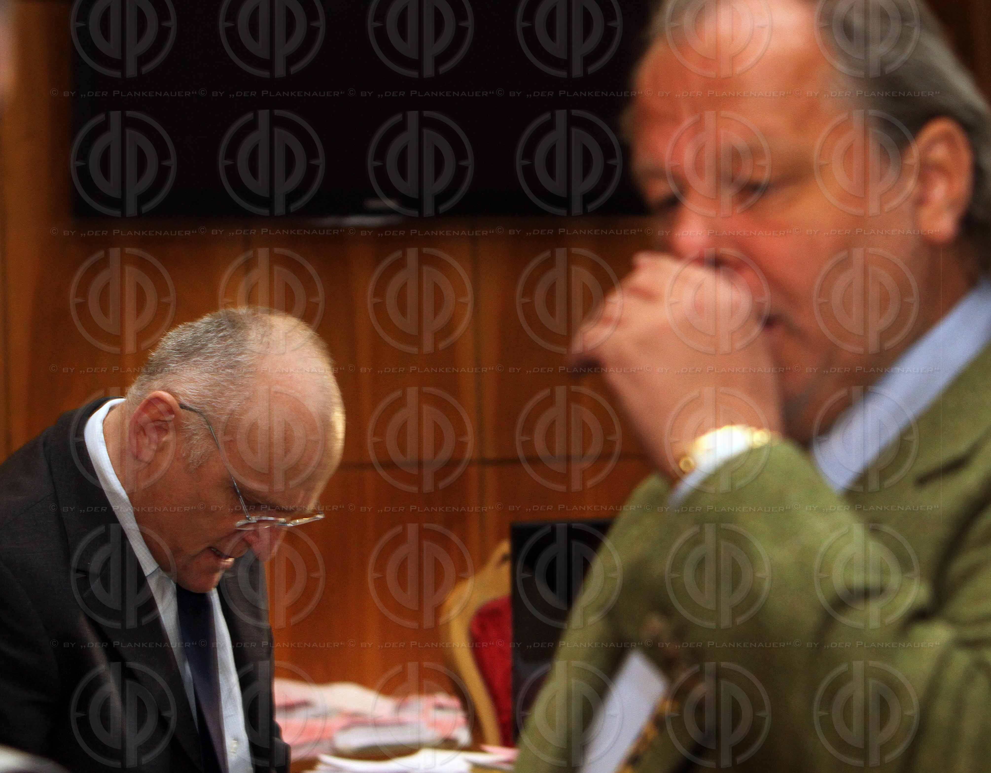 Strafverfahren gegen Hannes KARTNIG u.a.