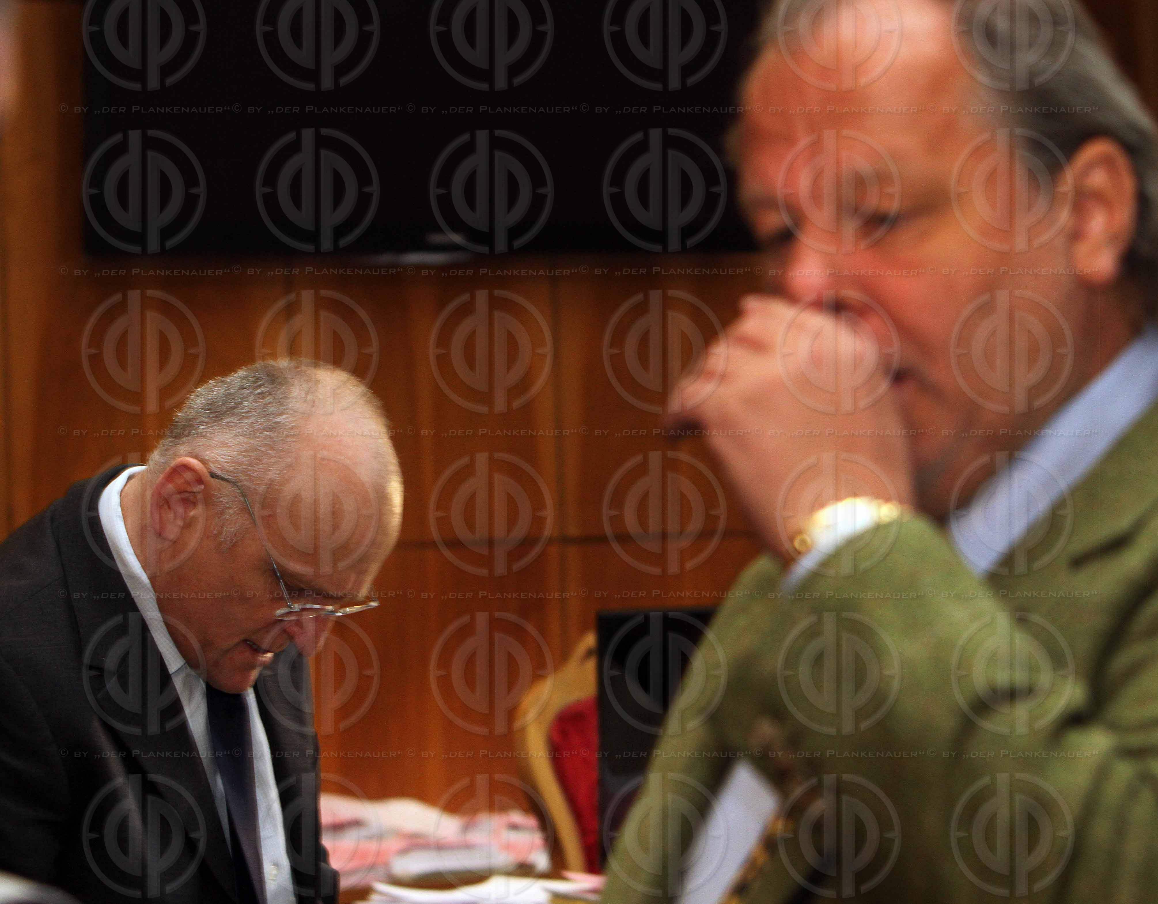 Strafverfahren gegen Hannes KARTNIG u.a.