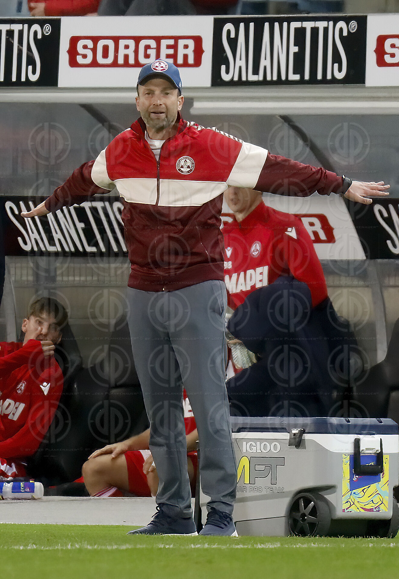 GAK 1902 vs. SCR Altach  (3:1) am 01.11.2025