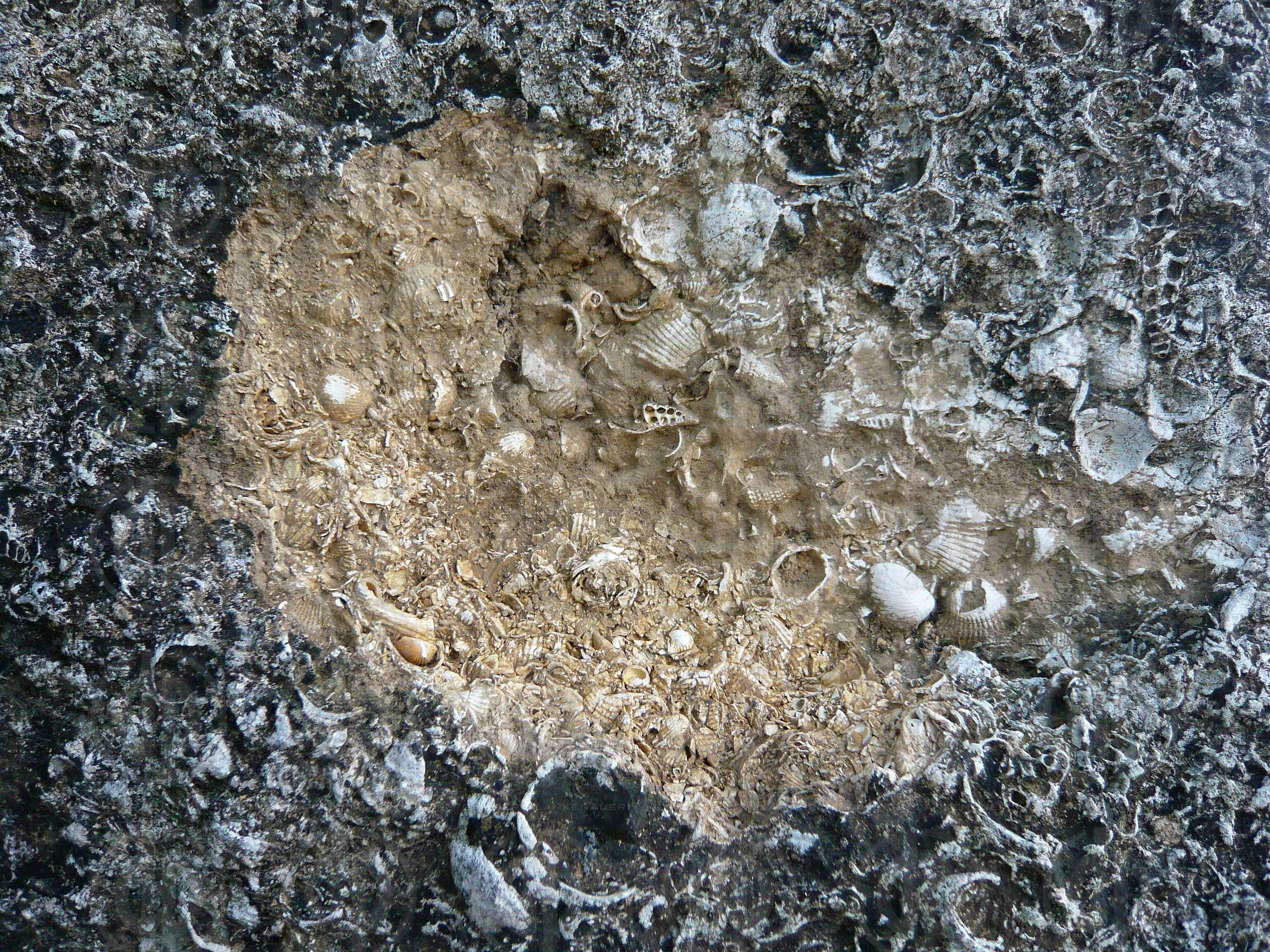 Schiffskreuzfahrt von Venedig bis Istanbul