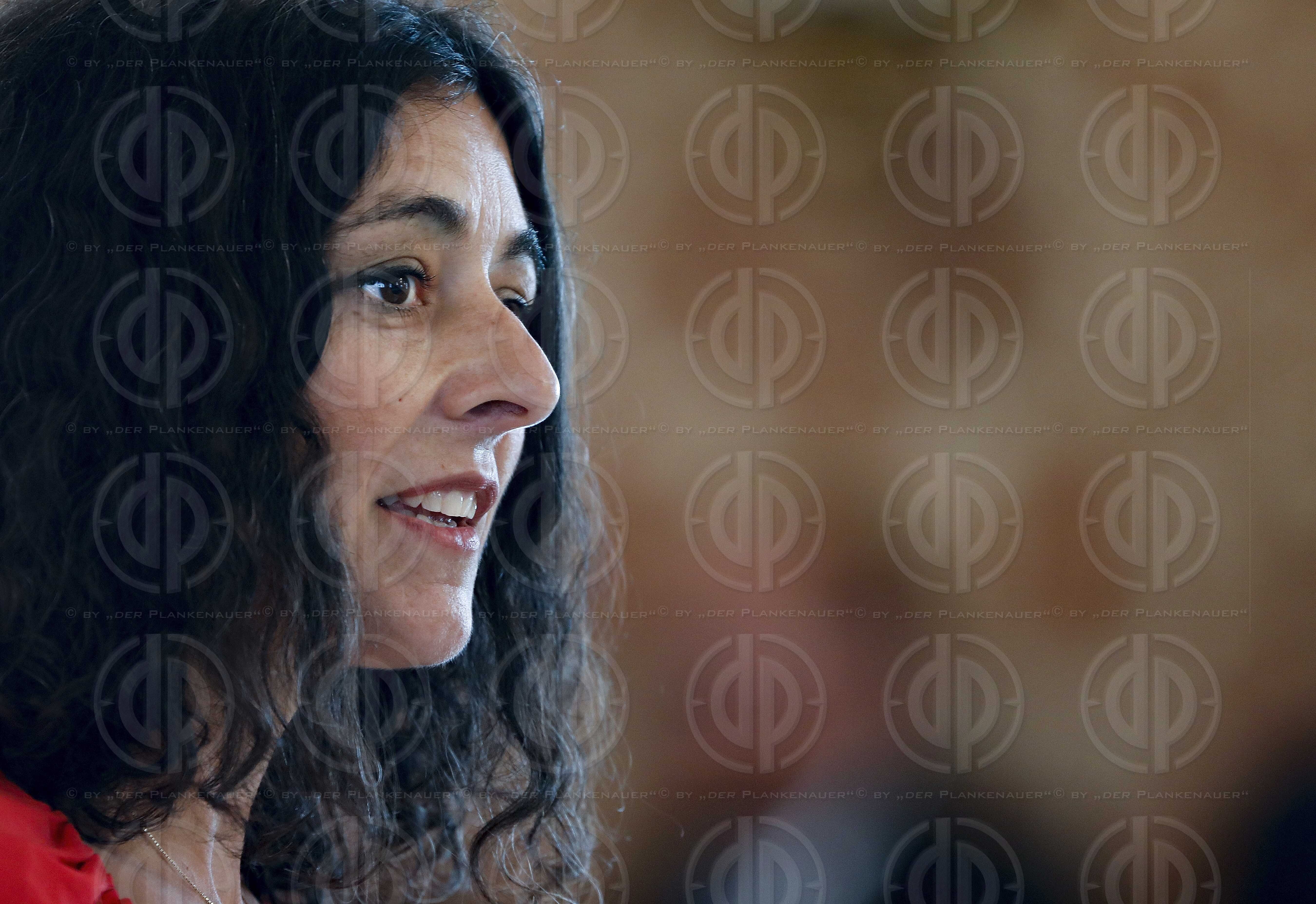 Sonderlandtagssitzung Steiermark - Auflösung