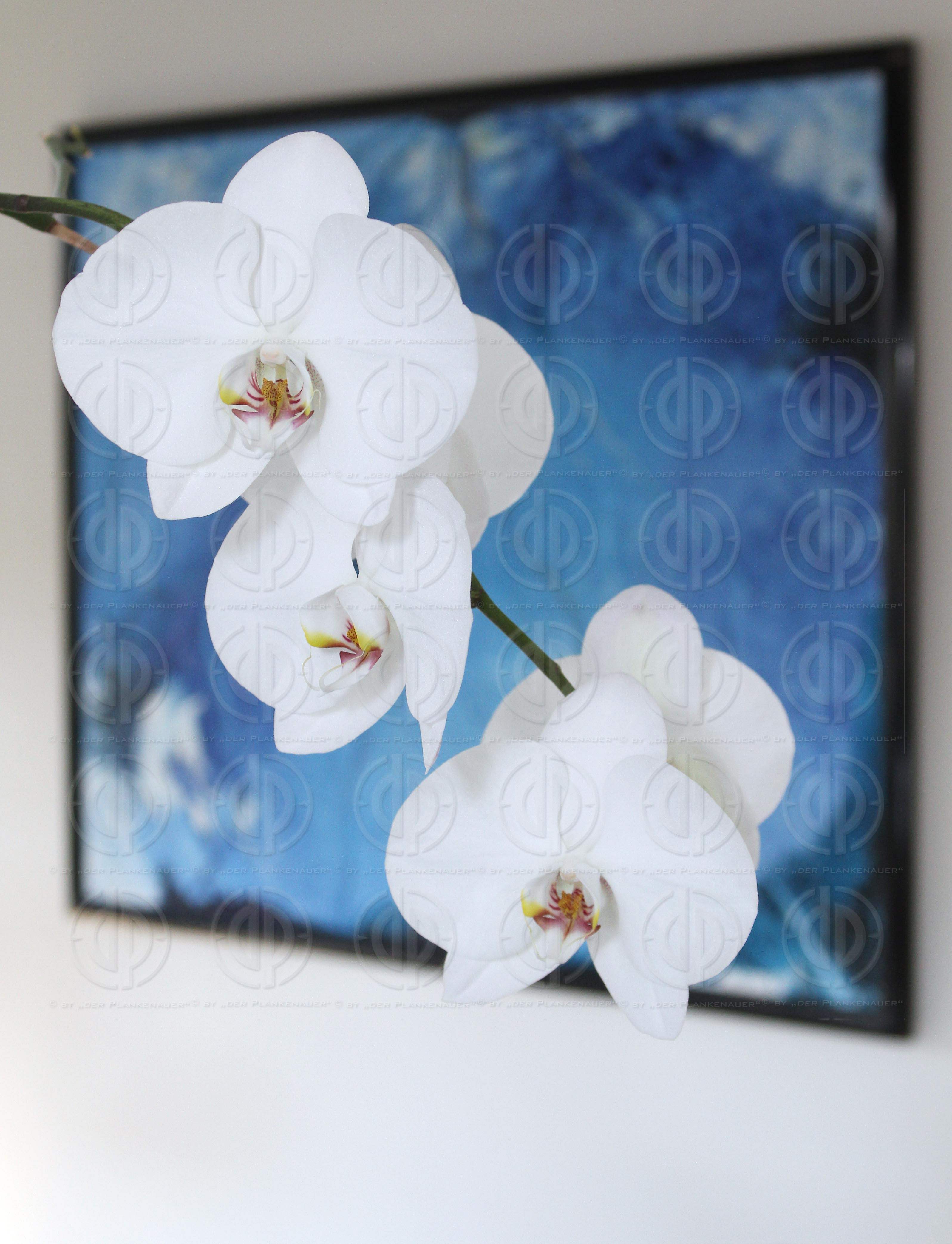 Rechtsanwälte Dr. Chistandl und Partner