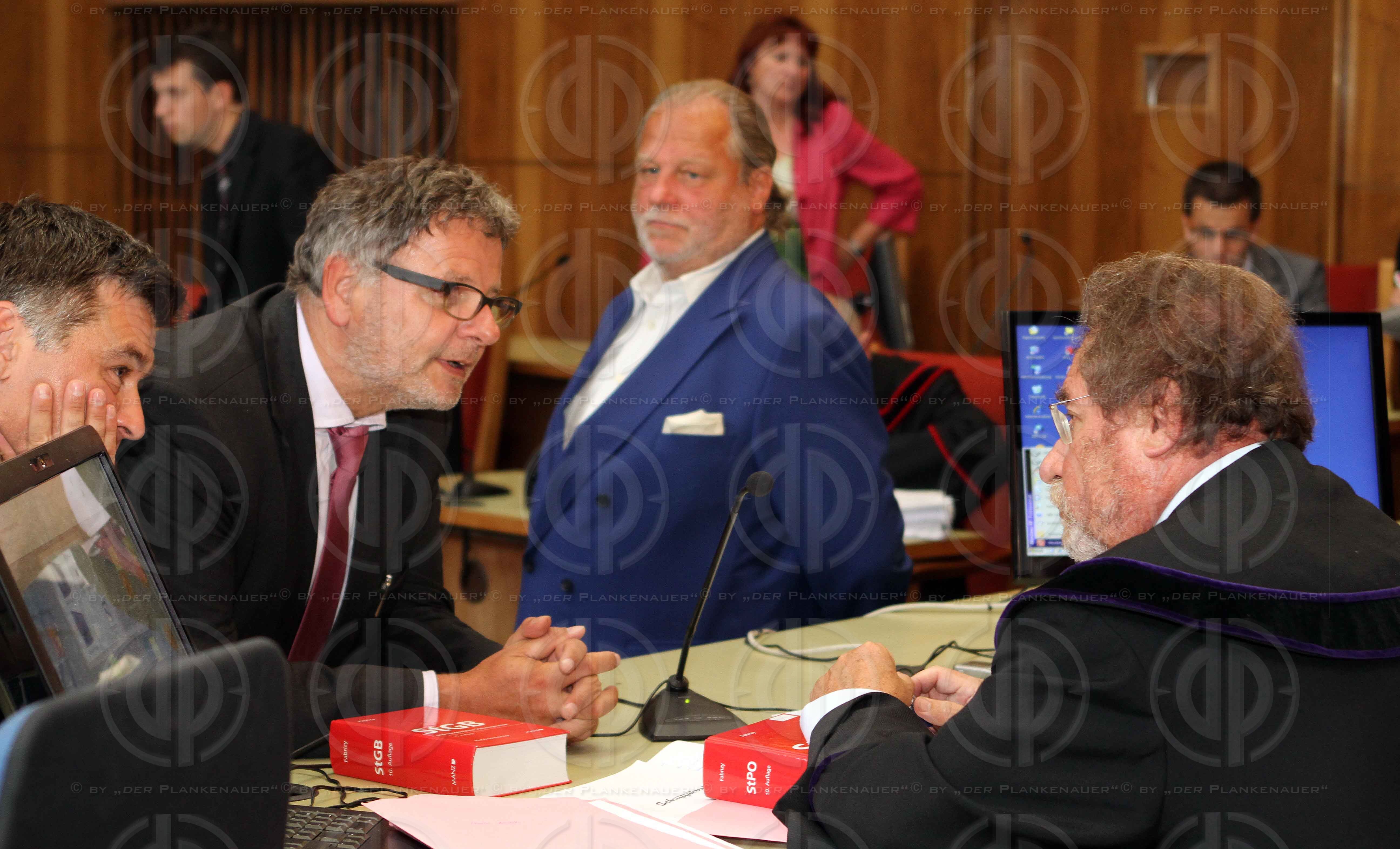 Strafverfahren gegen Hannes KARTNIG u.a.