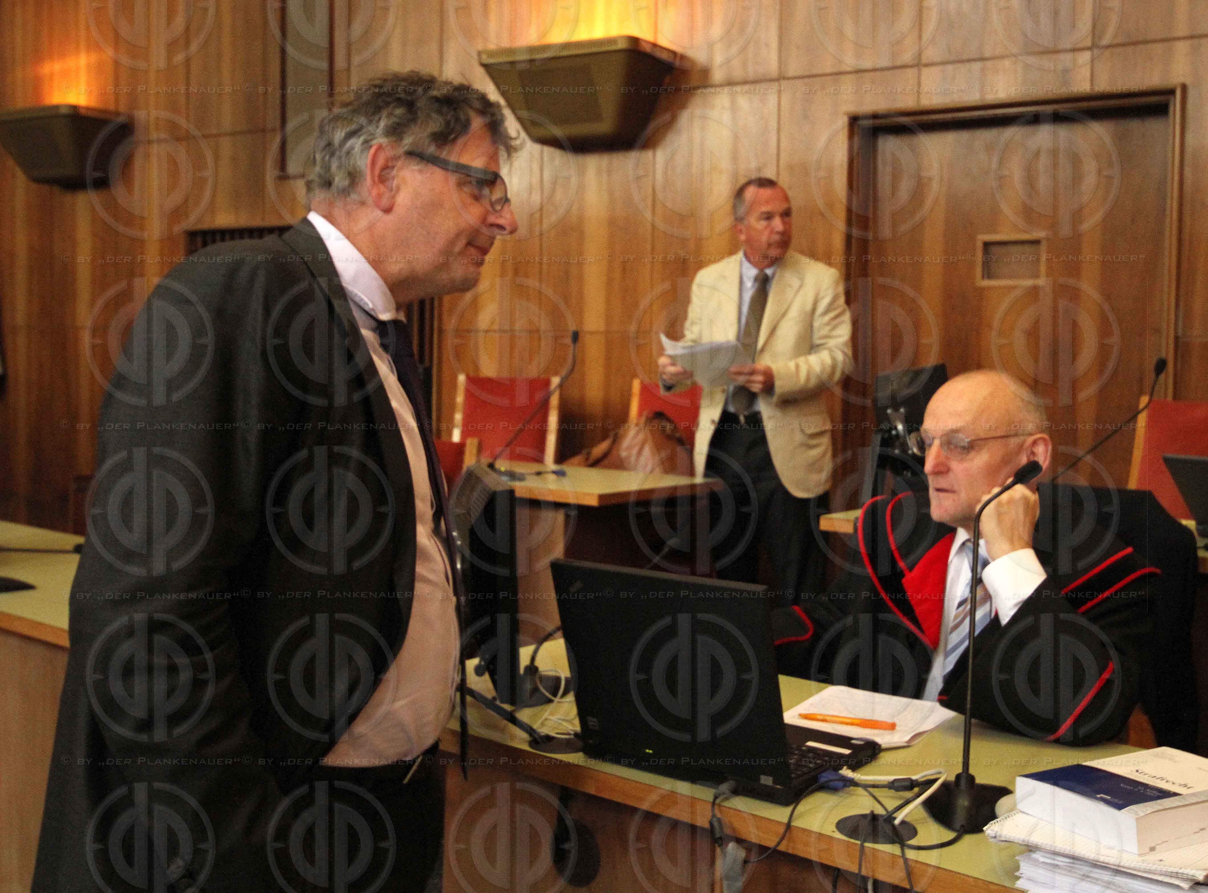 Strafverfahren gegen Hannes KARTNIG u.a.