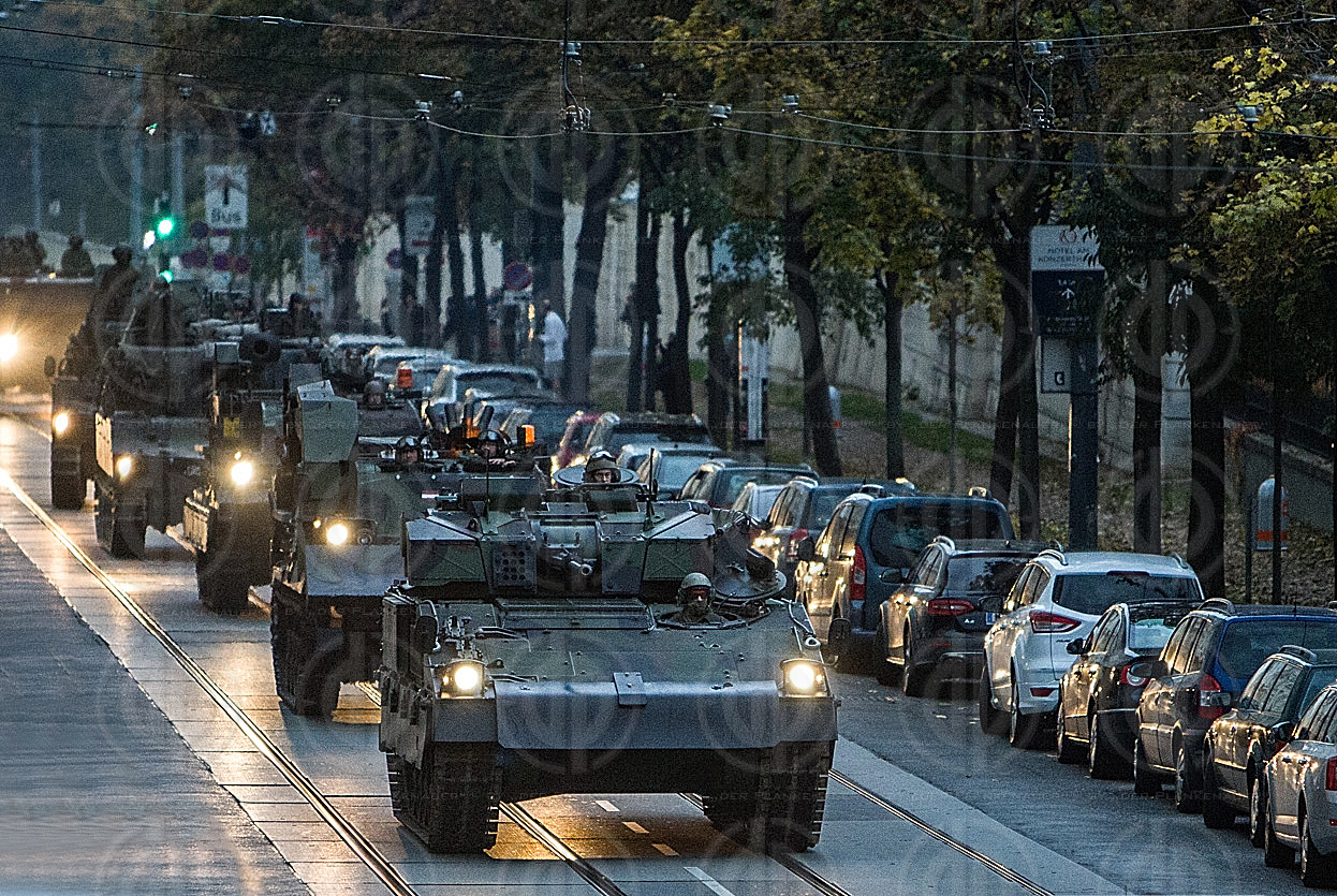 Waffenschau am Nationalfeiertag 2016