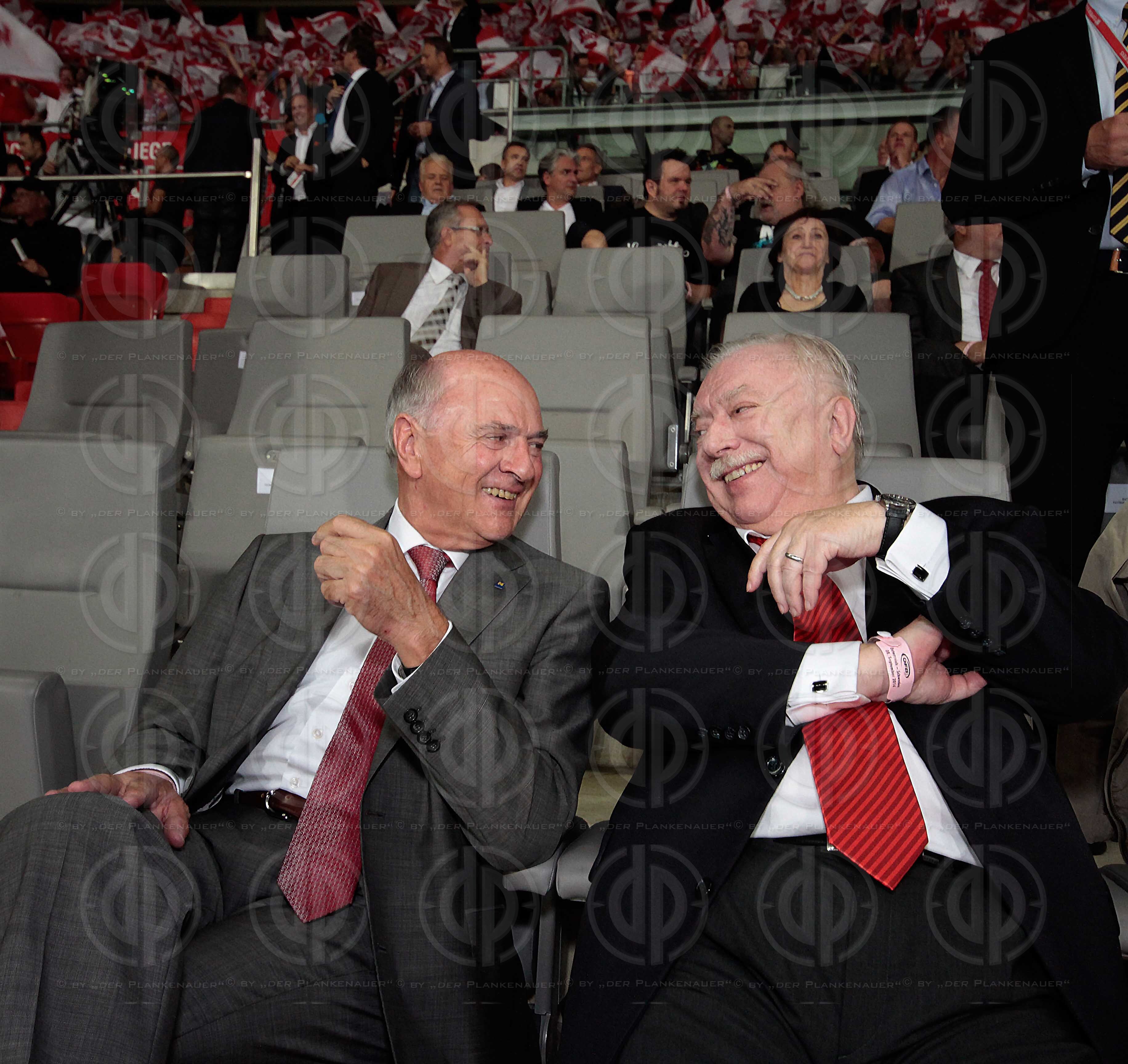 EM 2016-Qualifikationsrunde Oesterreich vs. Schweden (1:1)