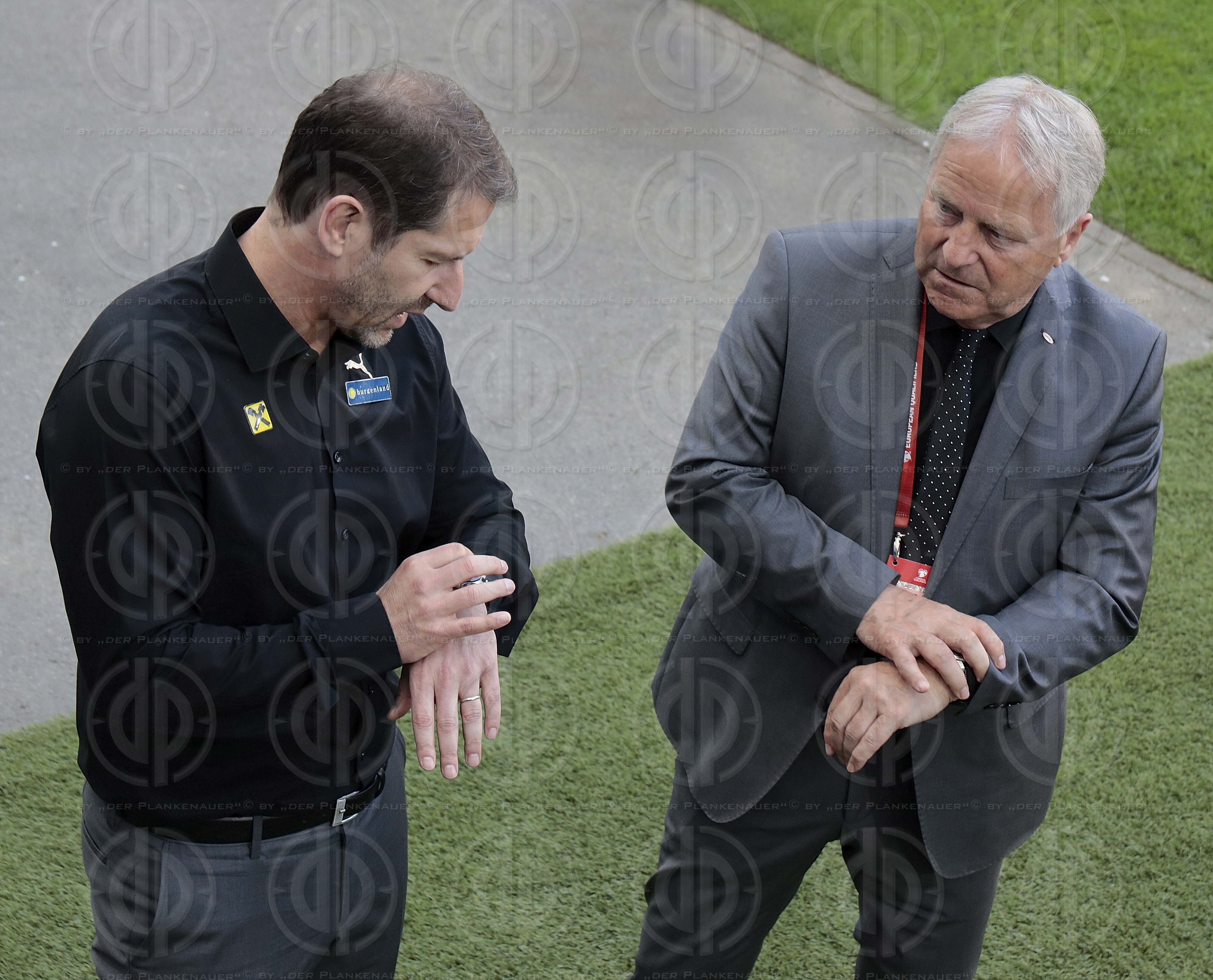 Länderspiel EM-Q. Österreich vs. Slowenien (1:0)