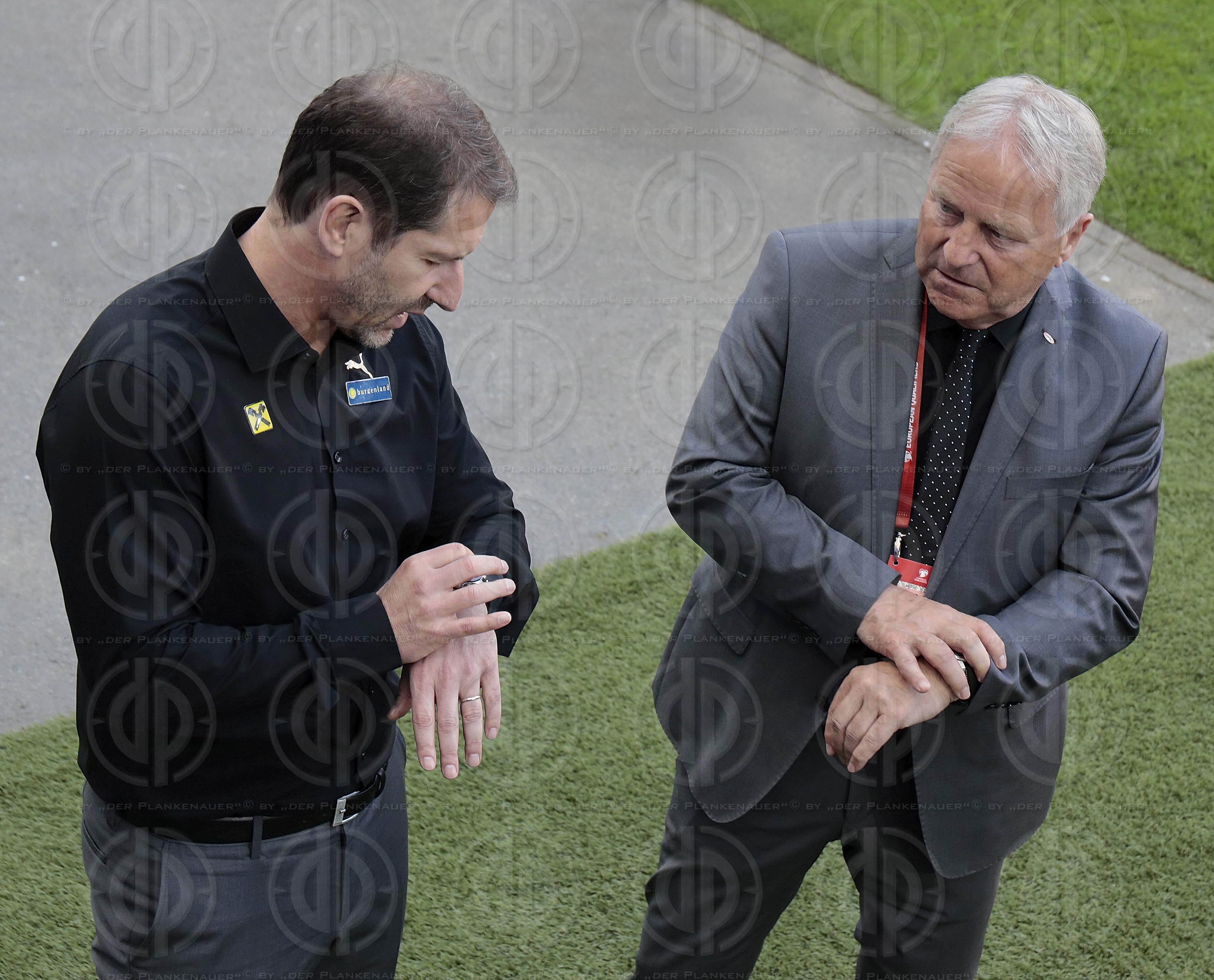 Länderspiel EM-Q. Österreich vs. Slowenien (1:0)