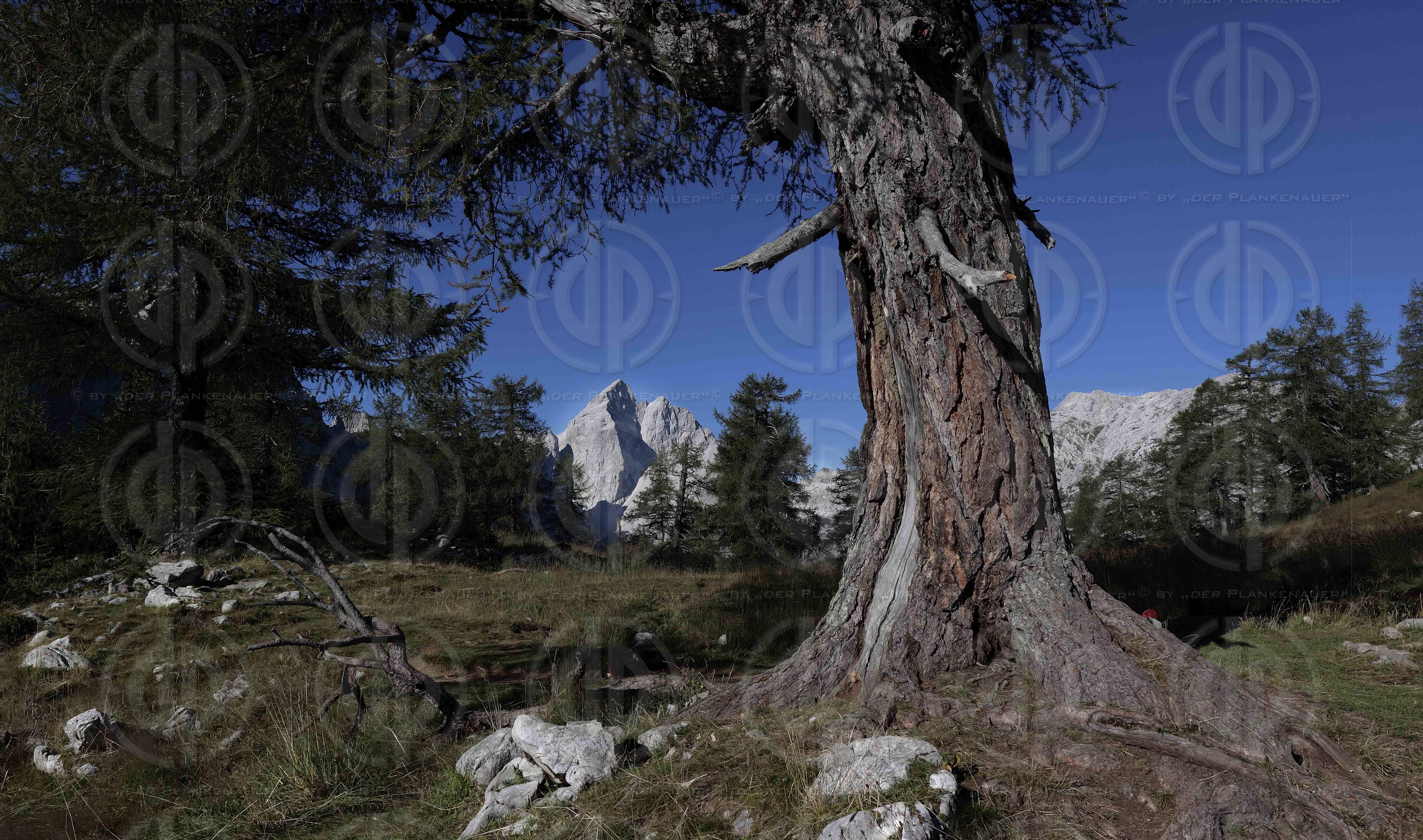 Naturpark Julische Alpen
