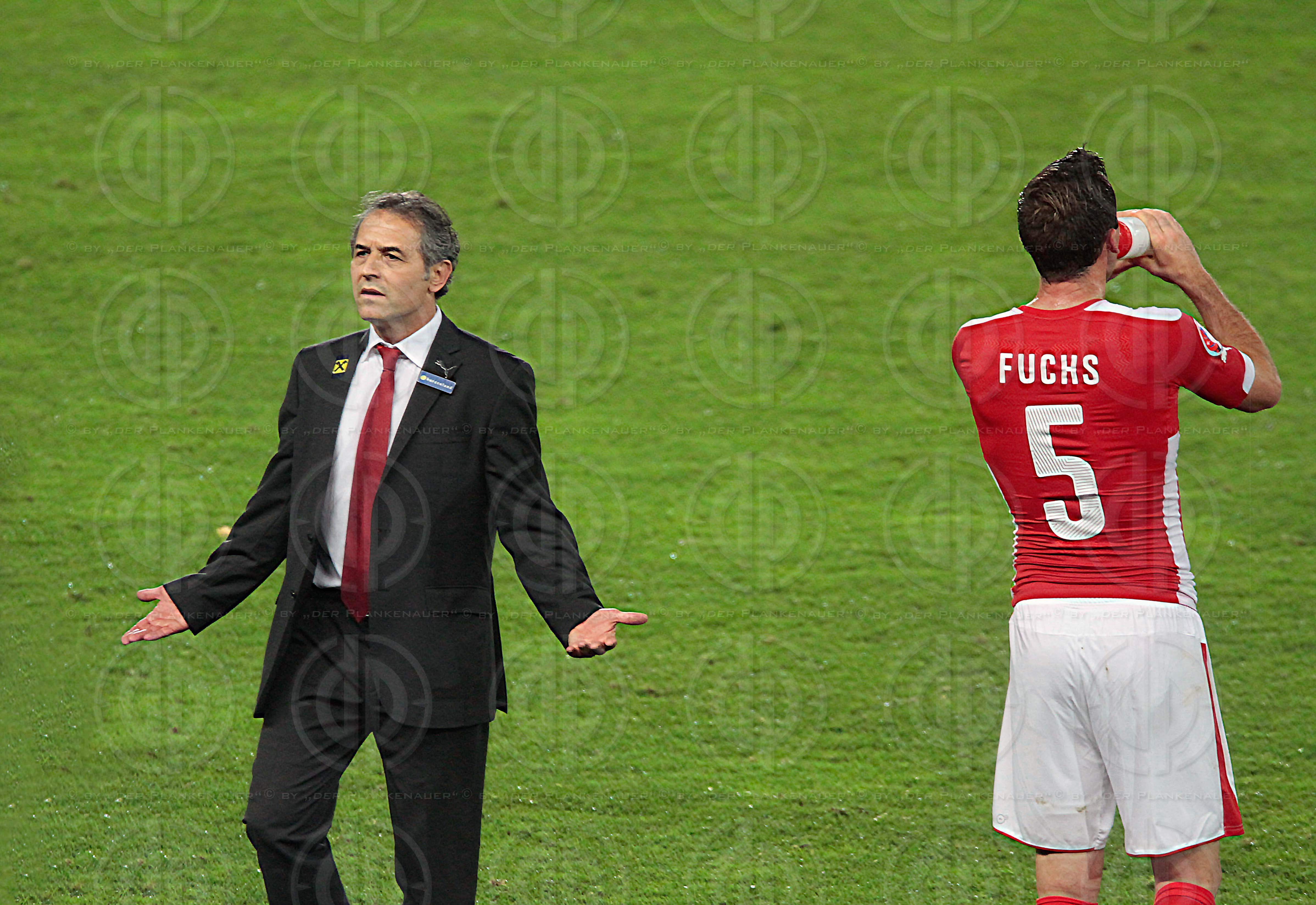 EM 2016-Qualifikationsrunde Oesterreich vs. Schweden (1:1)