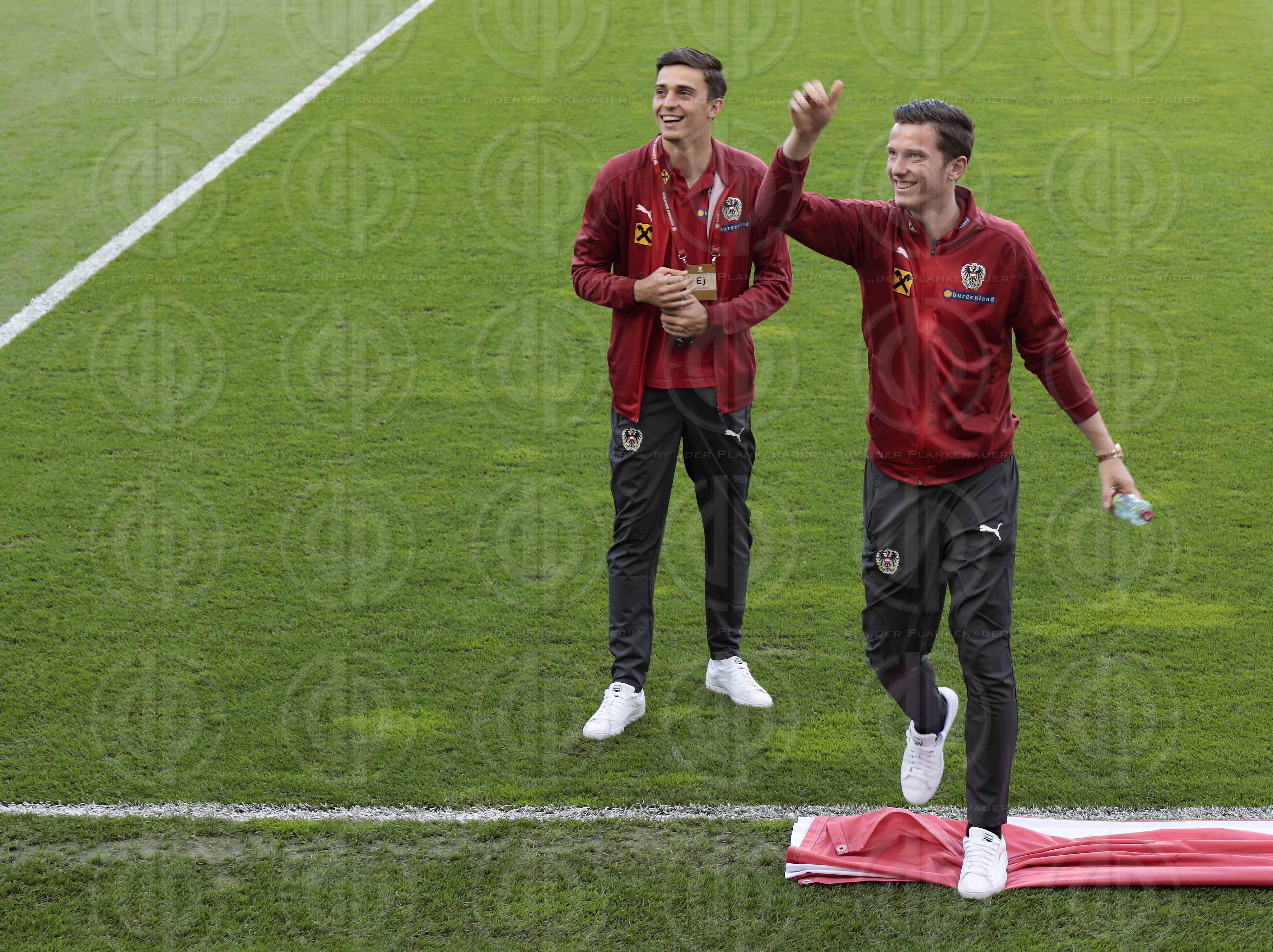 Länderspiel EM-Q. Österreich vs. Slowenien (1:0)