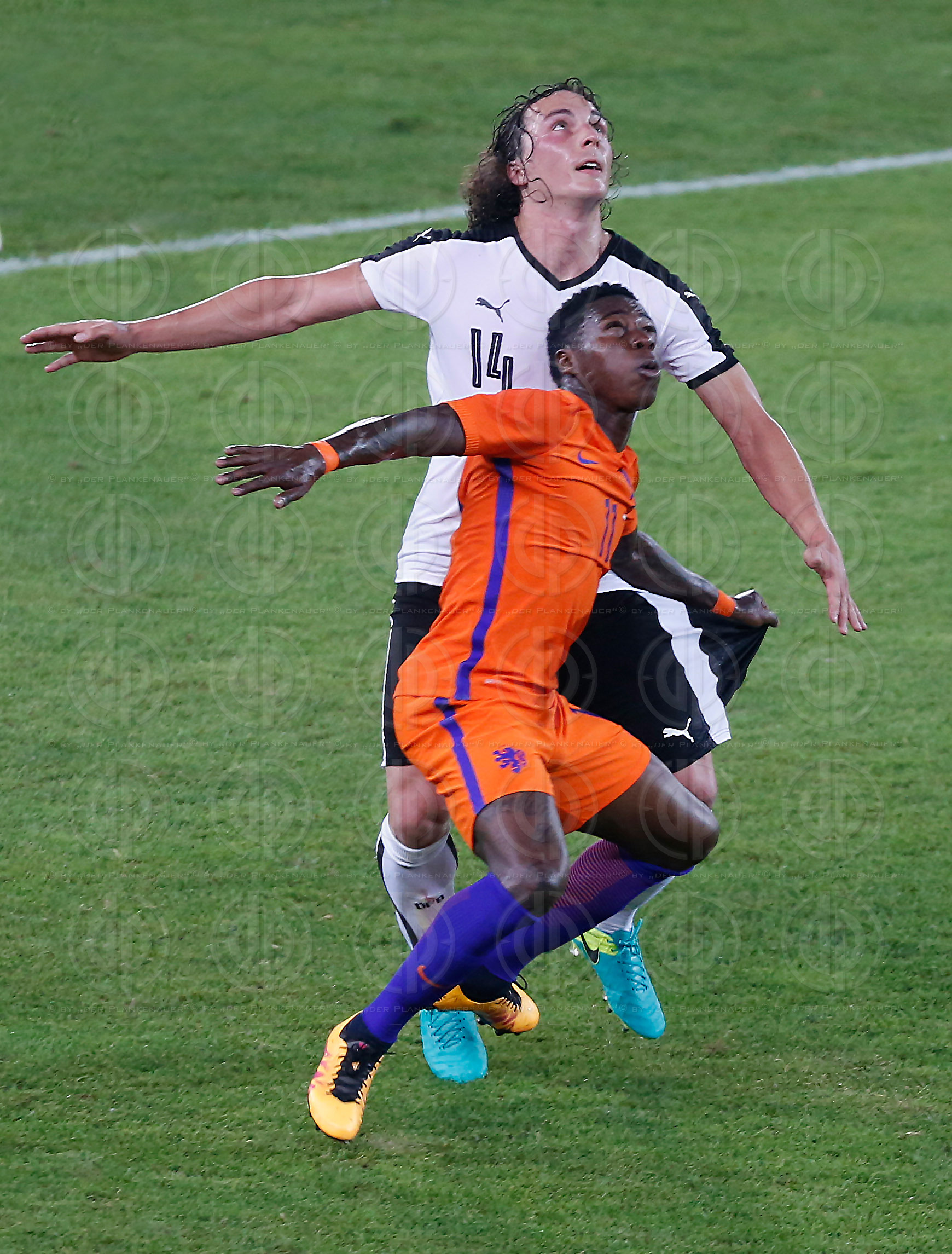 Oesterreich vs. Niederlande (0:2)