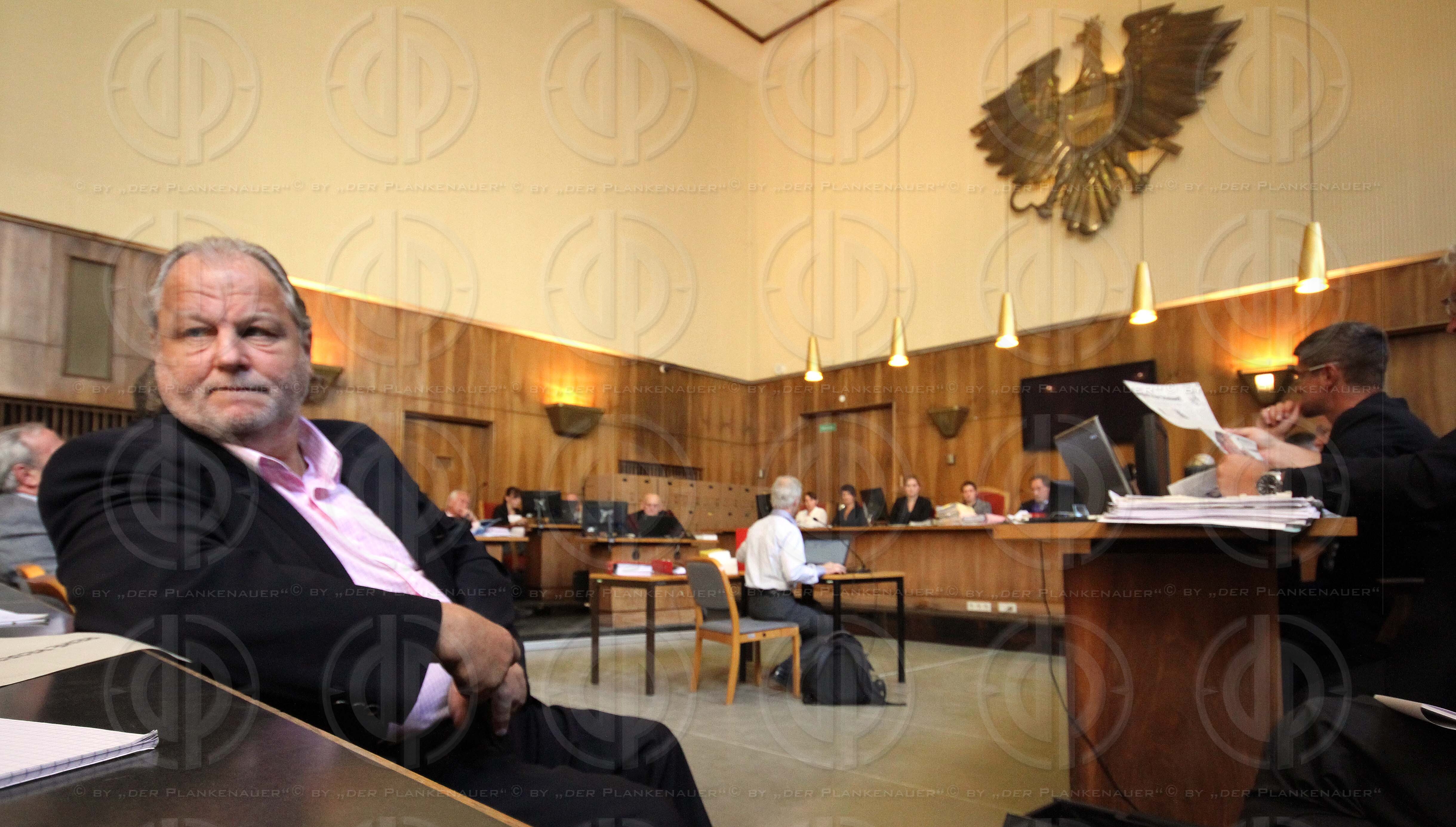 Strafverfahren gegen Hannes KARTNIG u.a.