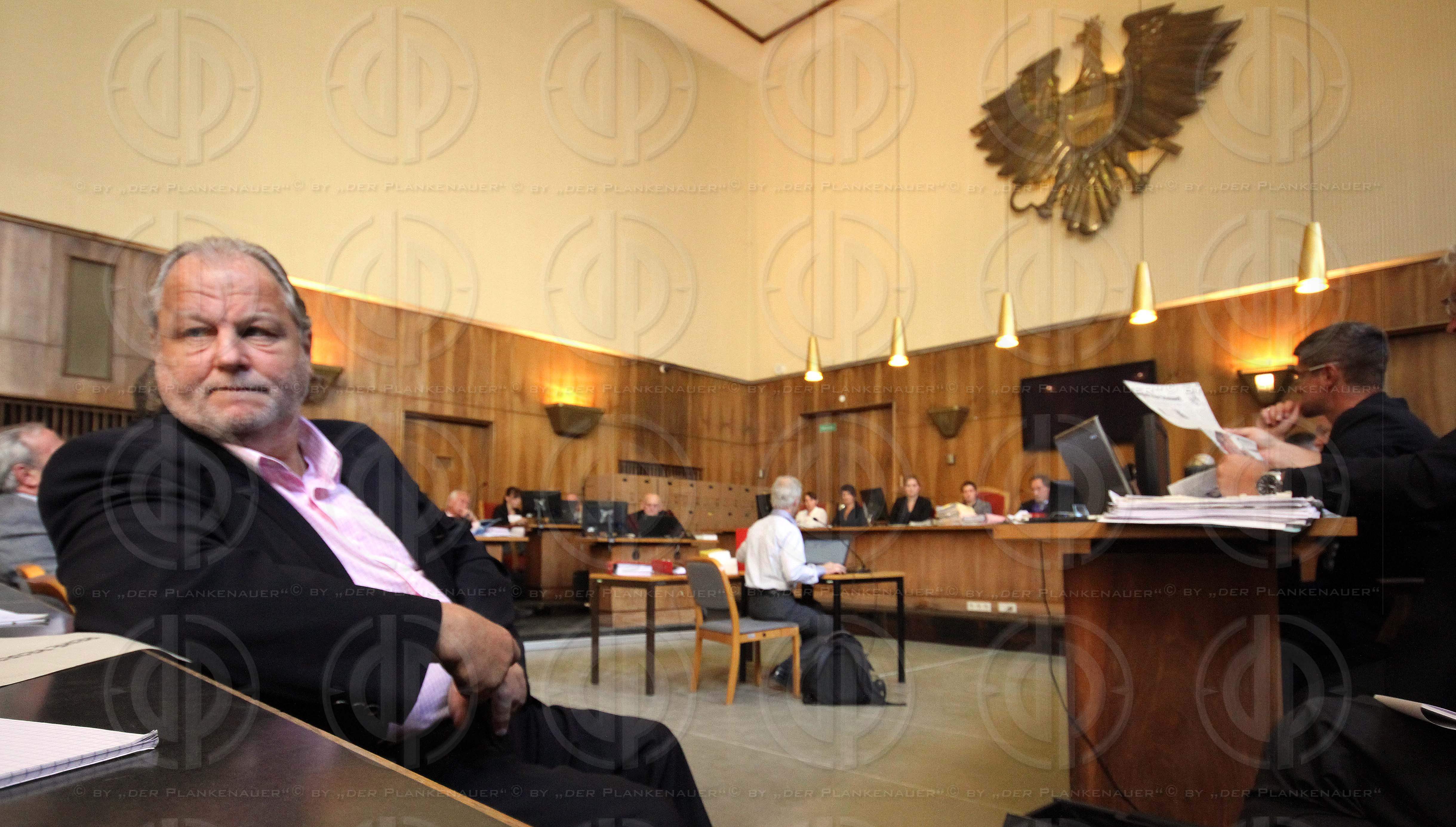 Strafverfahren gegen Hannes KARTNIG u.a.