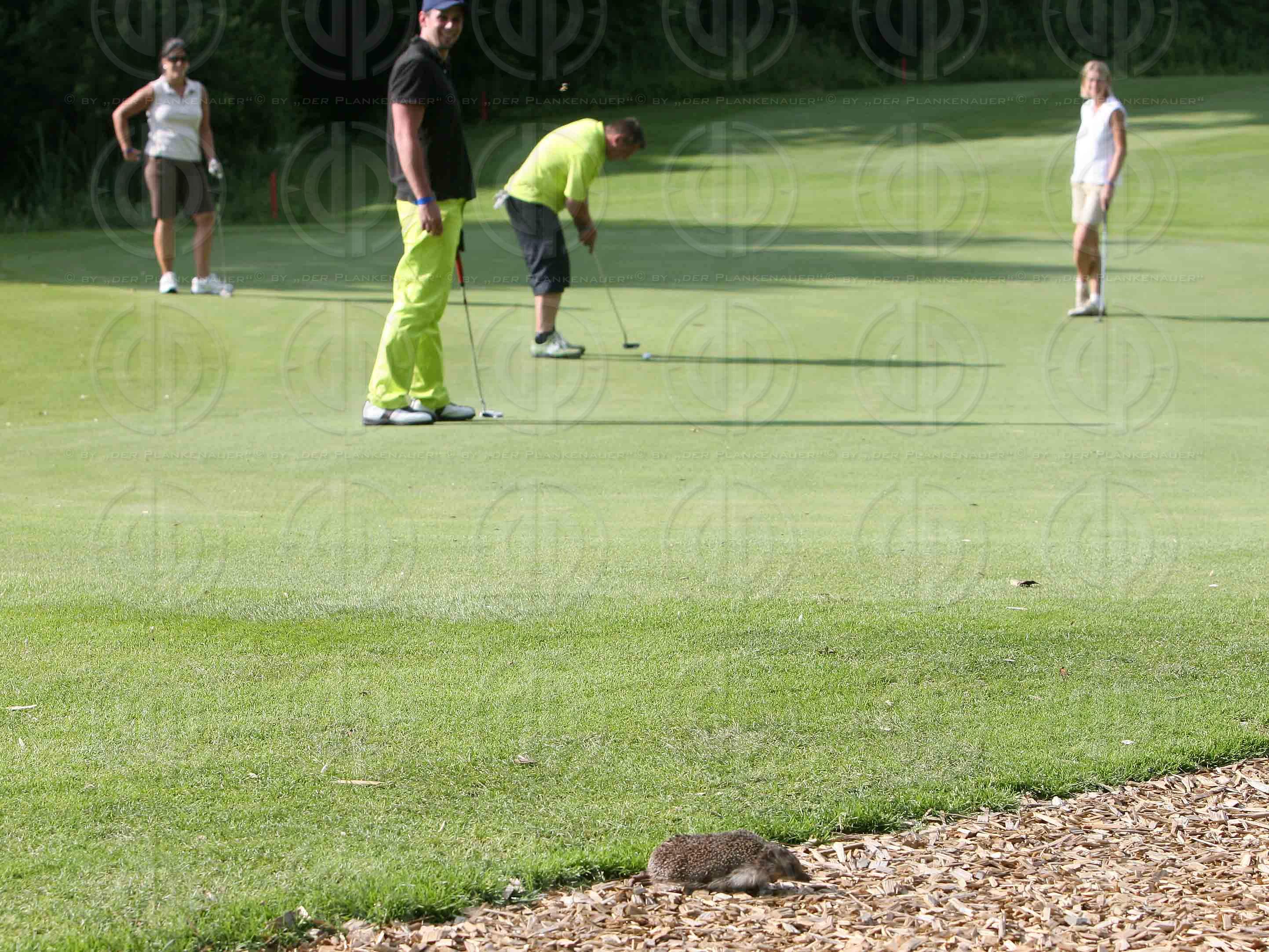 Das Institut-Charity Golf Einladungsturnier-Bewerb