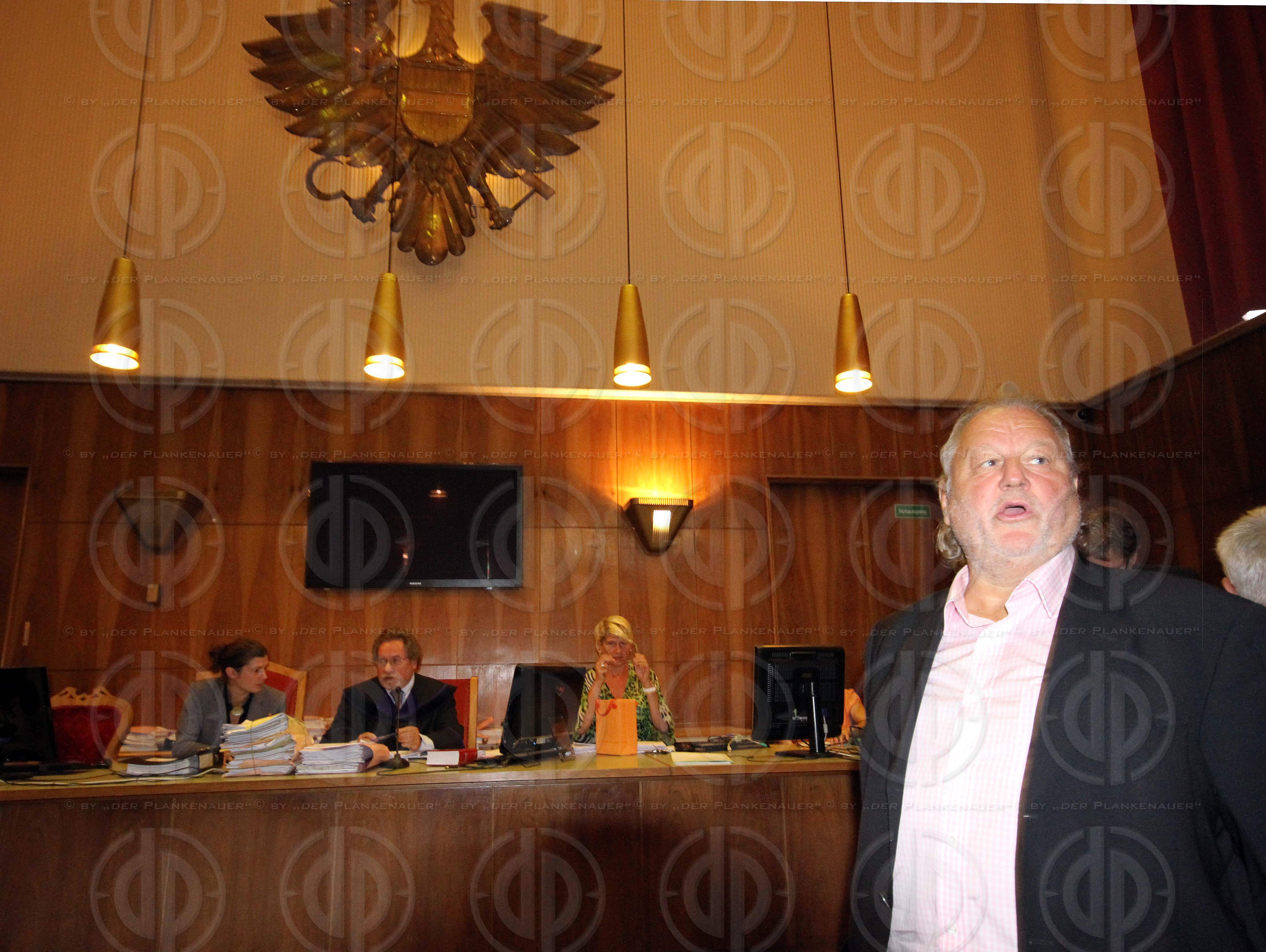 Strafverfahren gegen Hannes KARTNIG u.a.