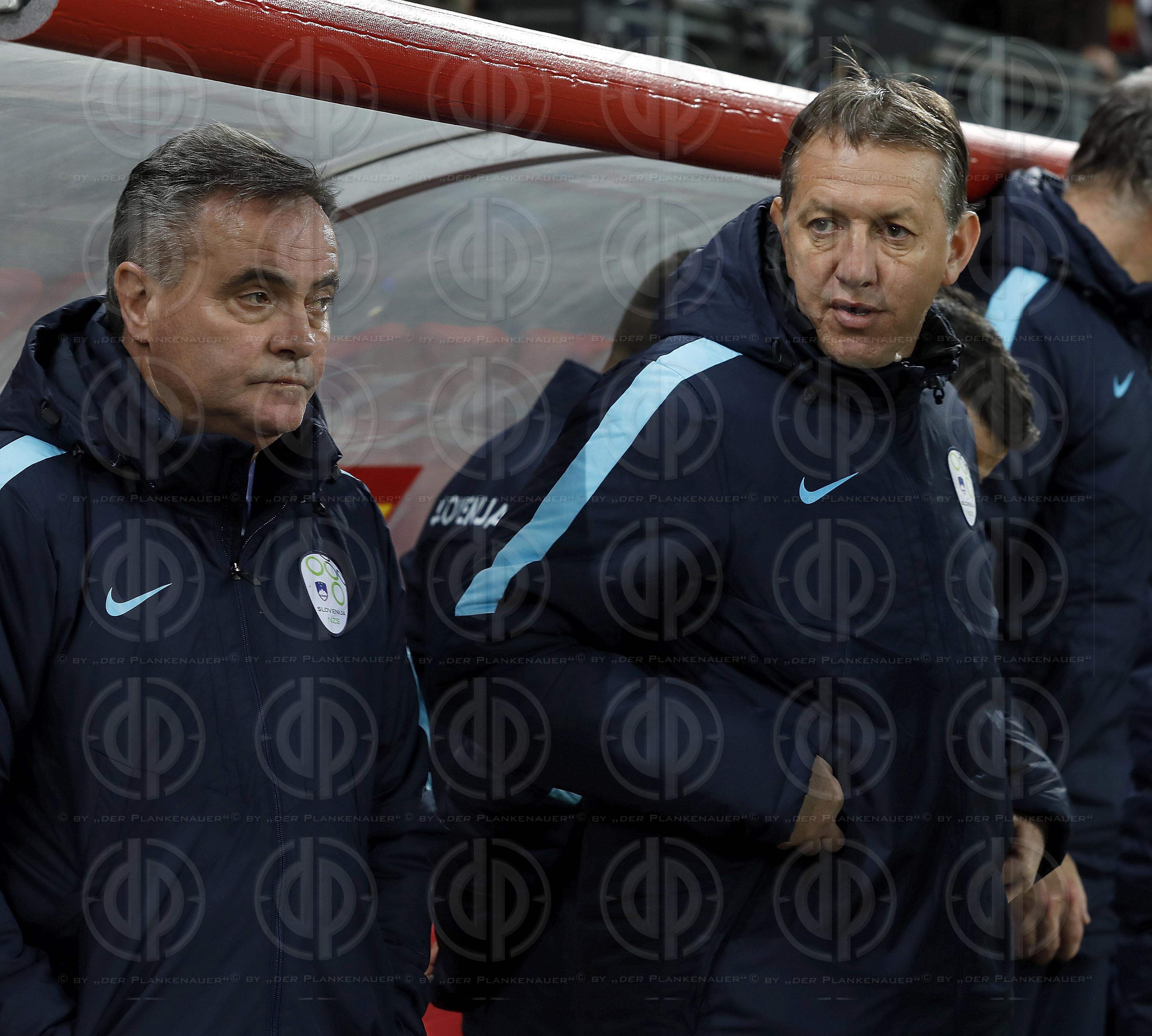 Laenderspiel Oesterreich vs. Slowenien (3:0)