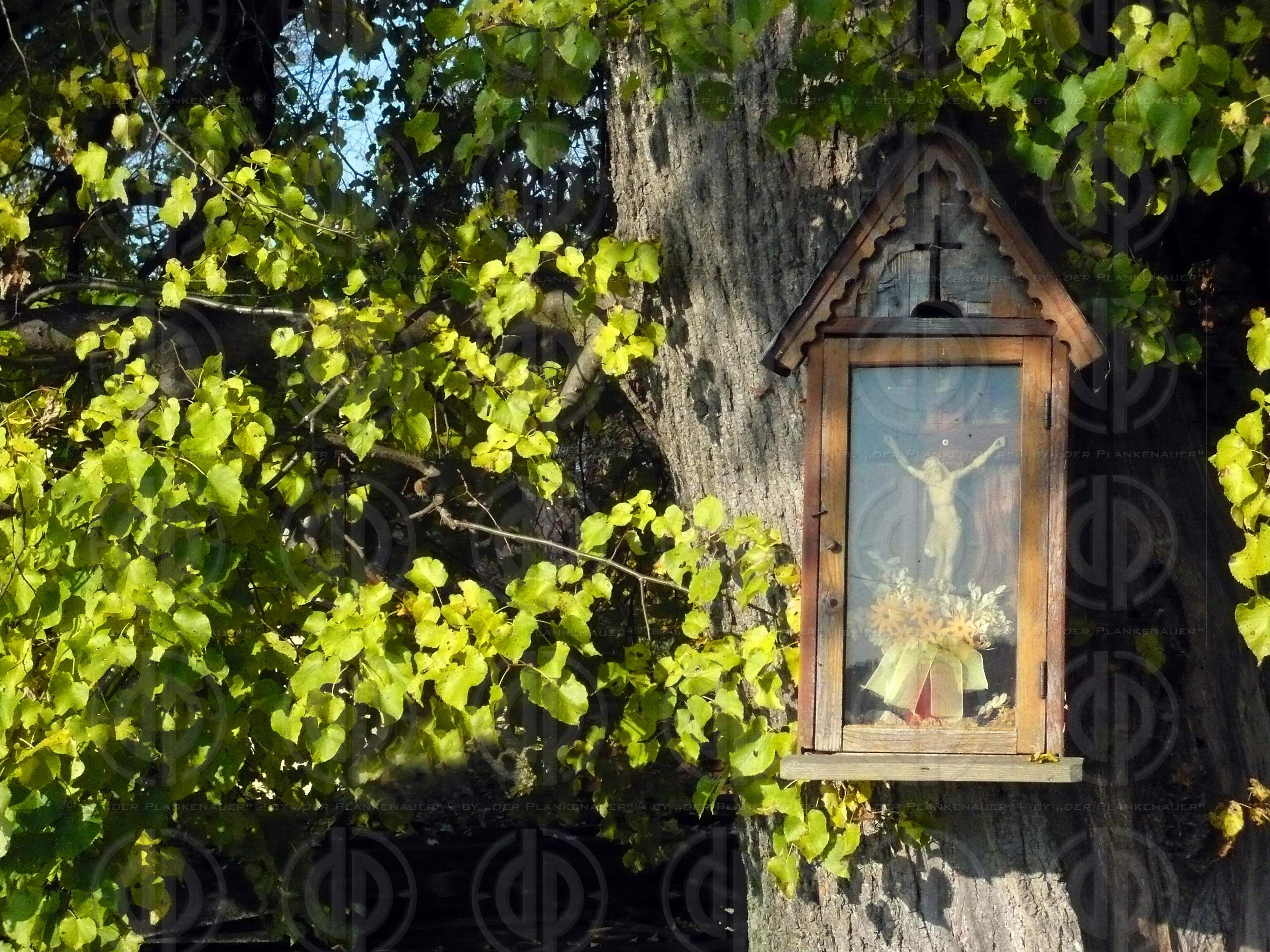 Herbstfarben zu Allerheiligen