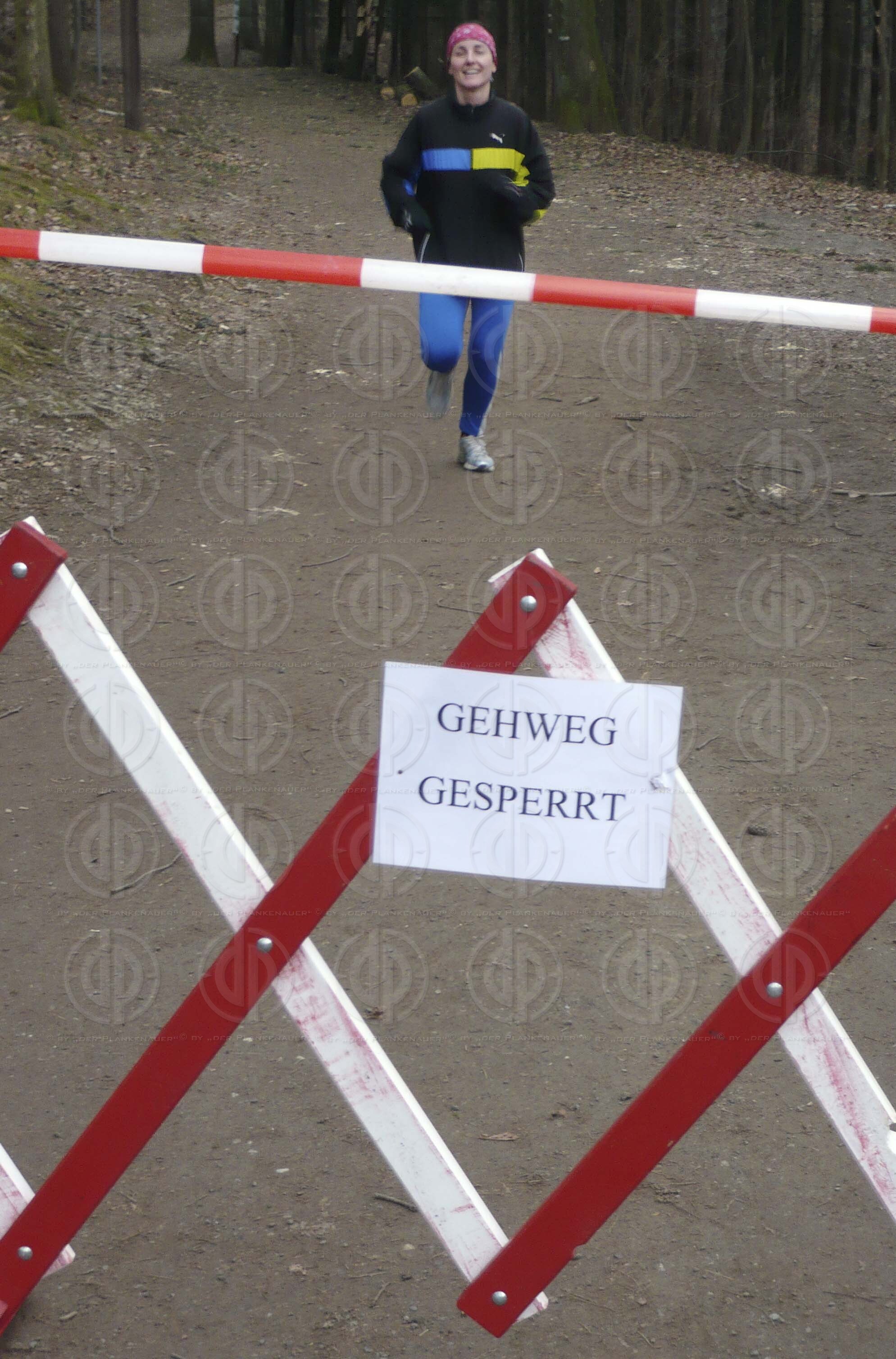 Sturmschäden durch Paula