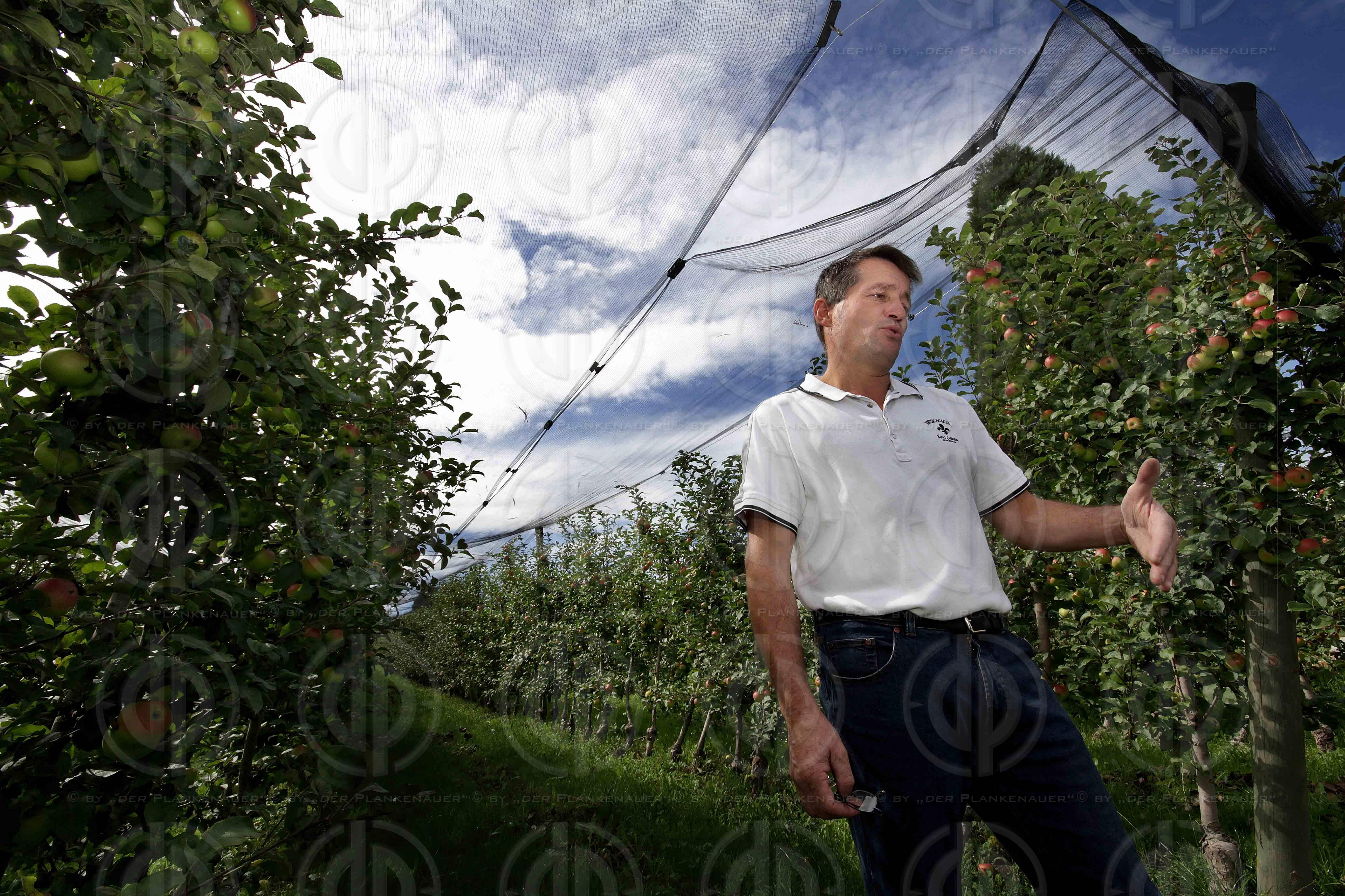 Protest gegen Gemeindezusammenlegungen in der Steiermark