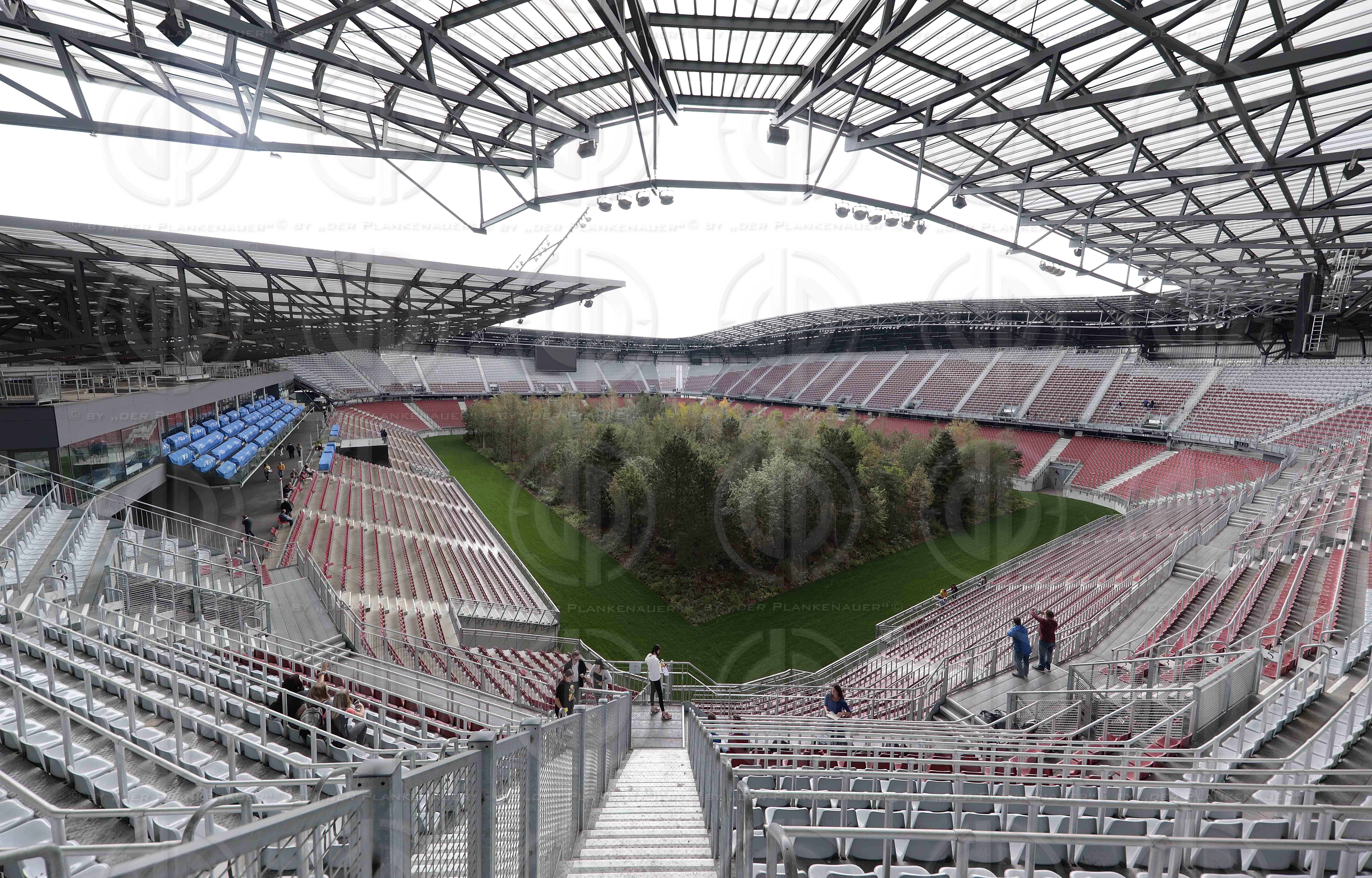 Kunstinstallation For Forest