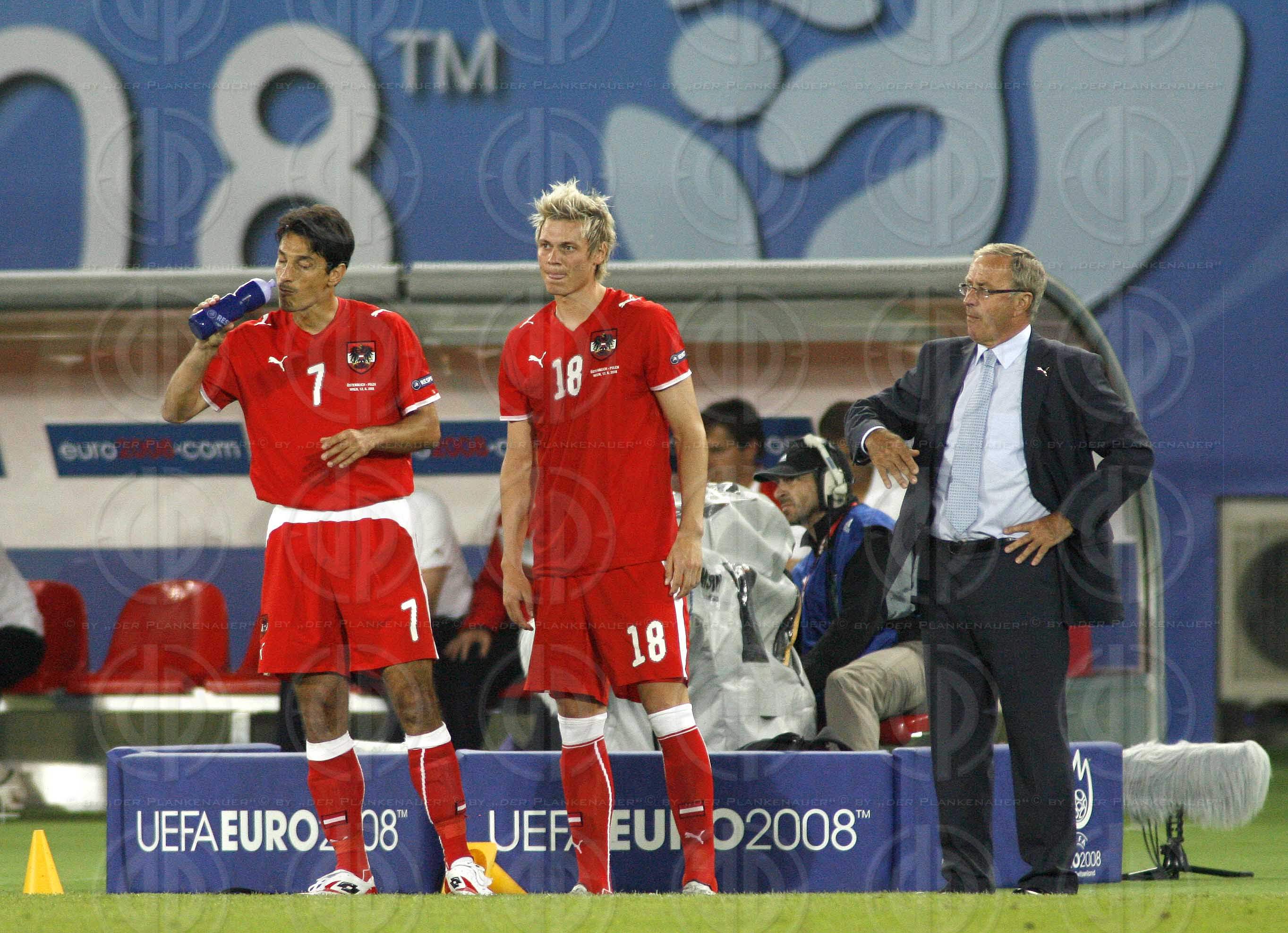 UEFA EURO2008 Österreich vs. Polen (1:1)