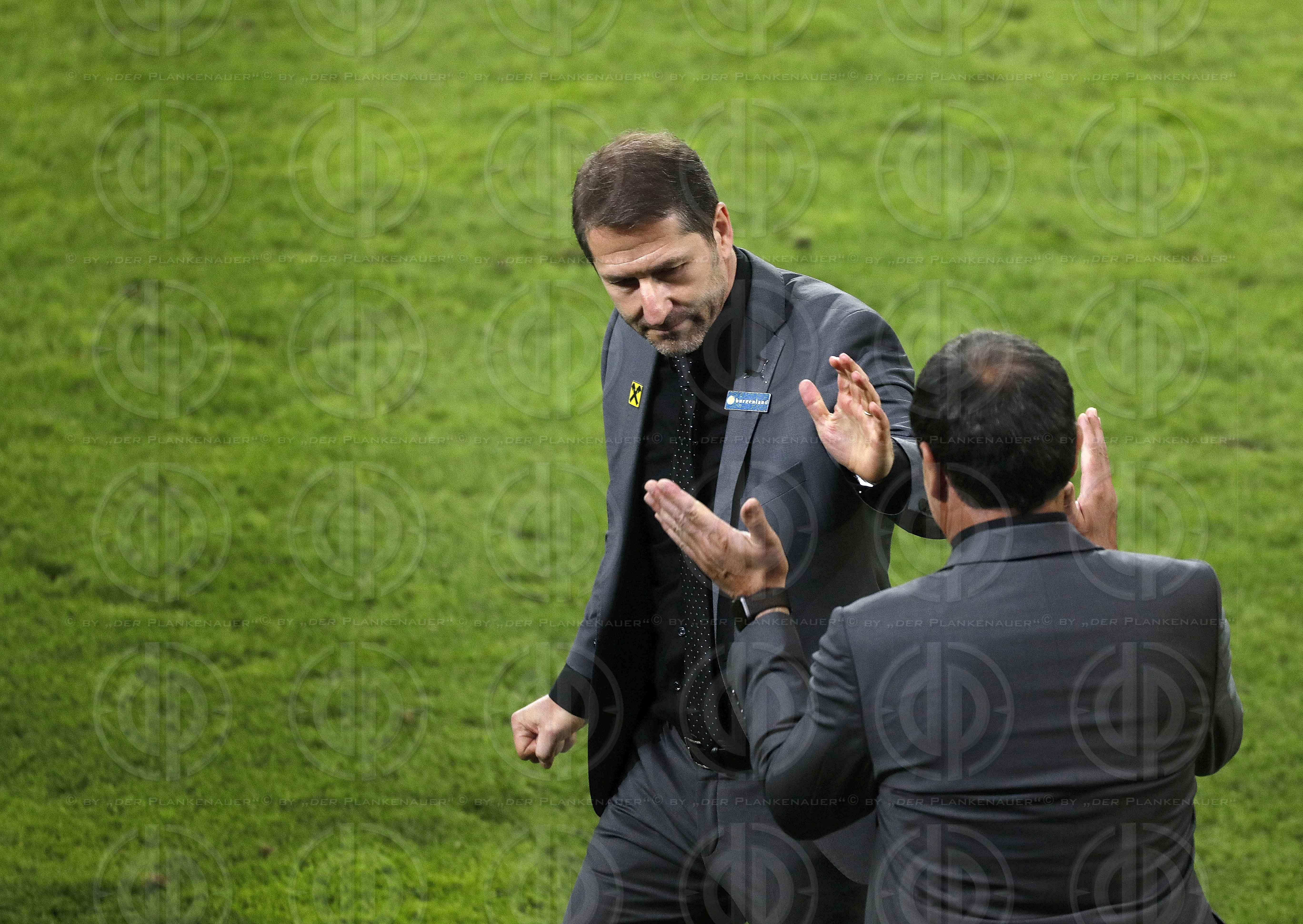 Länderspiel EM-Q. Österreich vs. Slowenien (1:0)