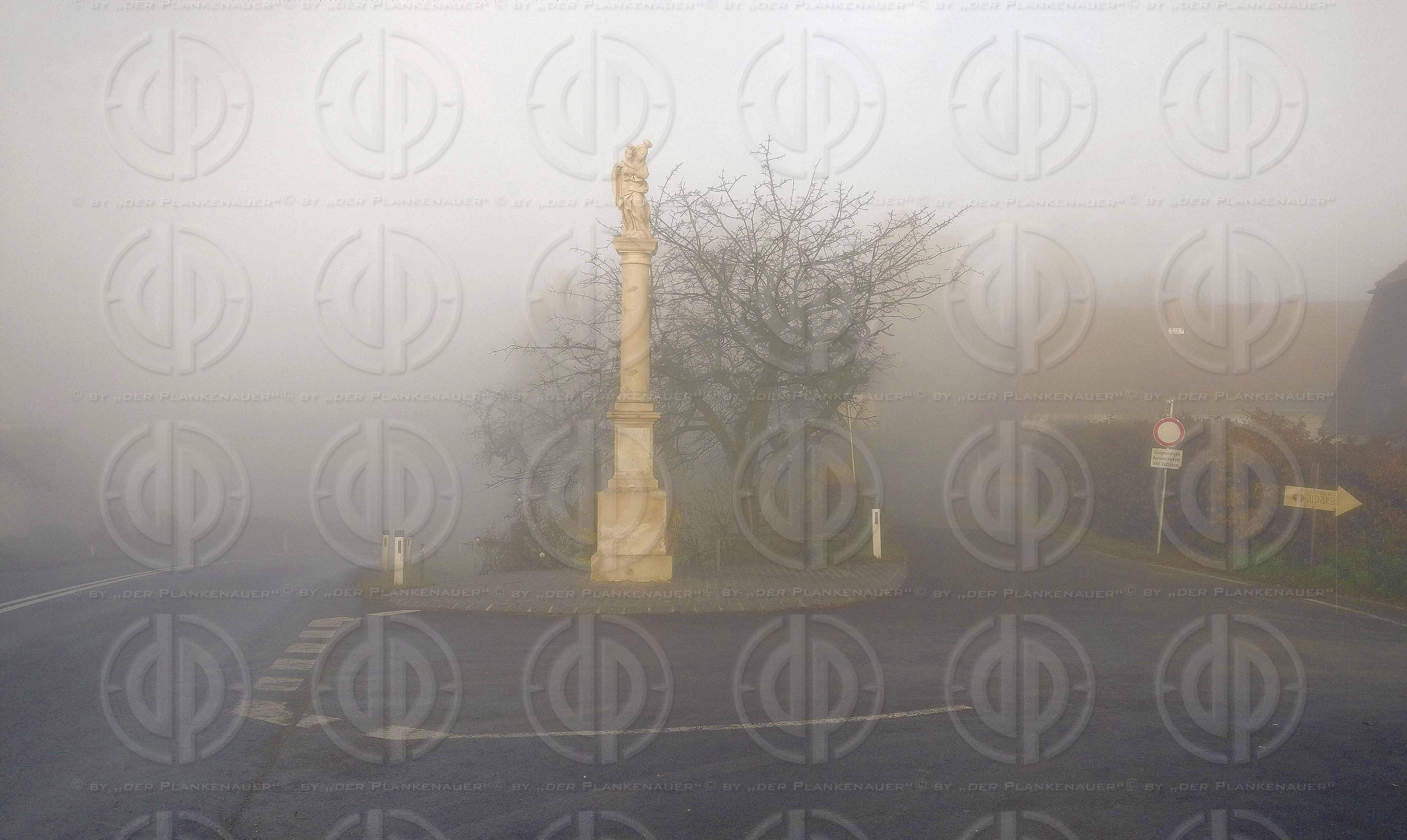 Sonntagslauf im Nebel am 21.11.2021