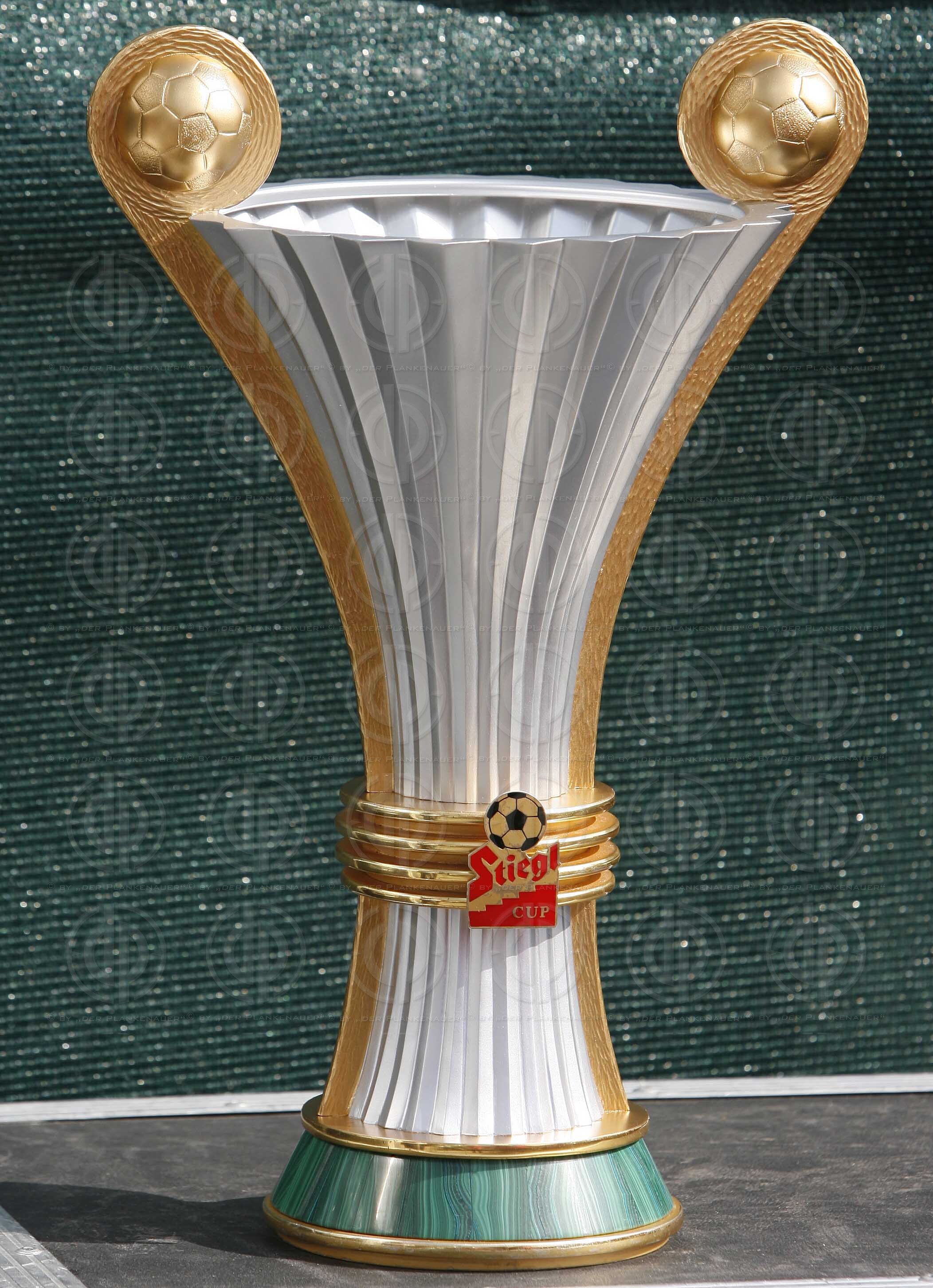 ÖFB Stiegl-Cup Finale 2009