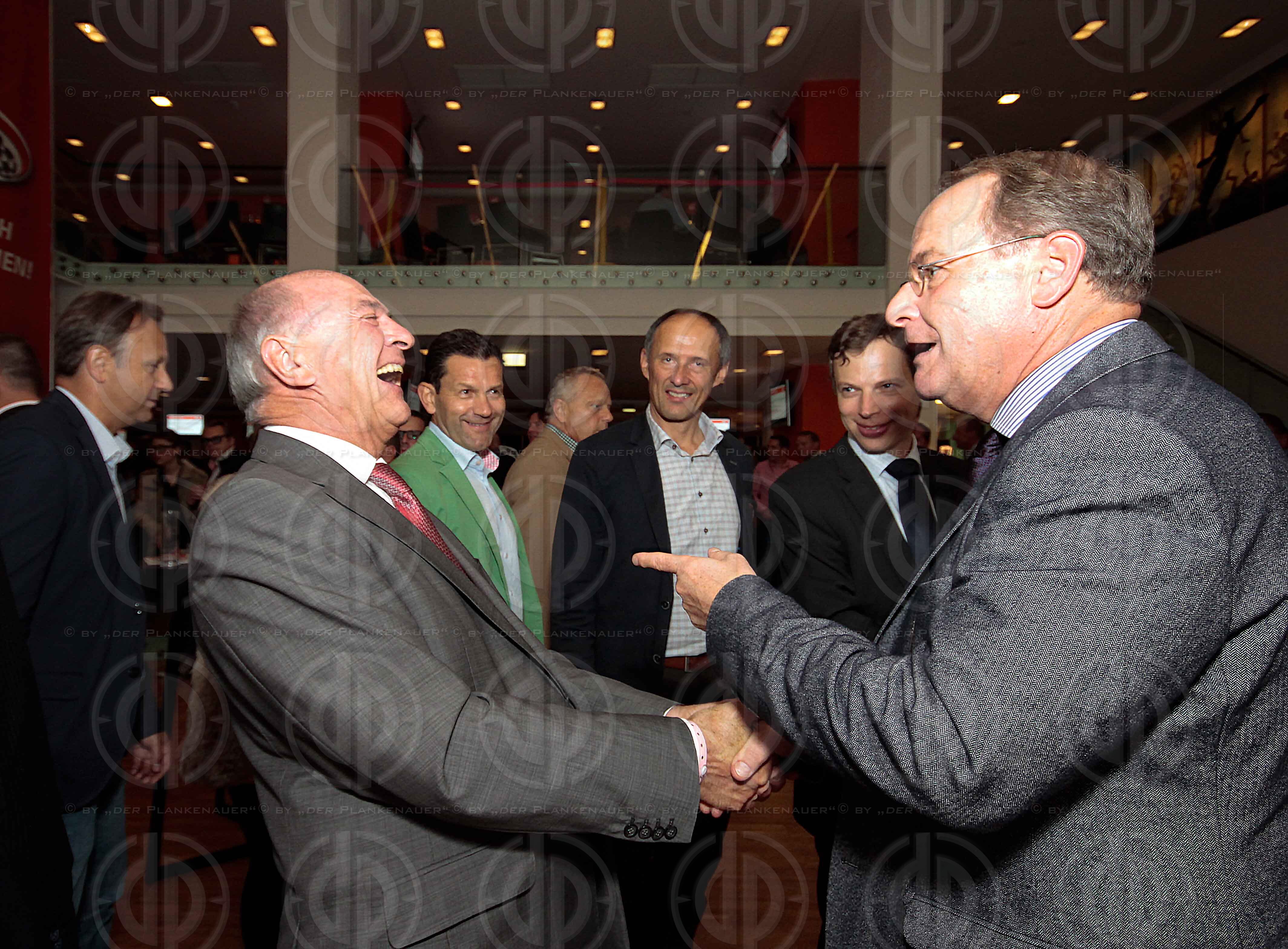 EM 2016-Qualifikationsrunde Oesterreich vs. Schweden (1:1)