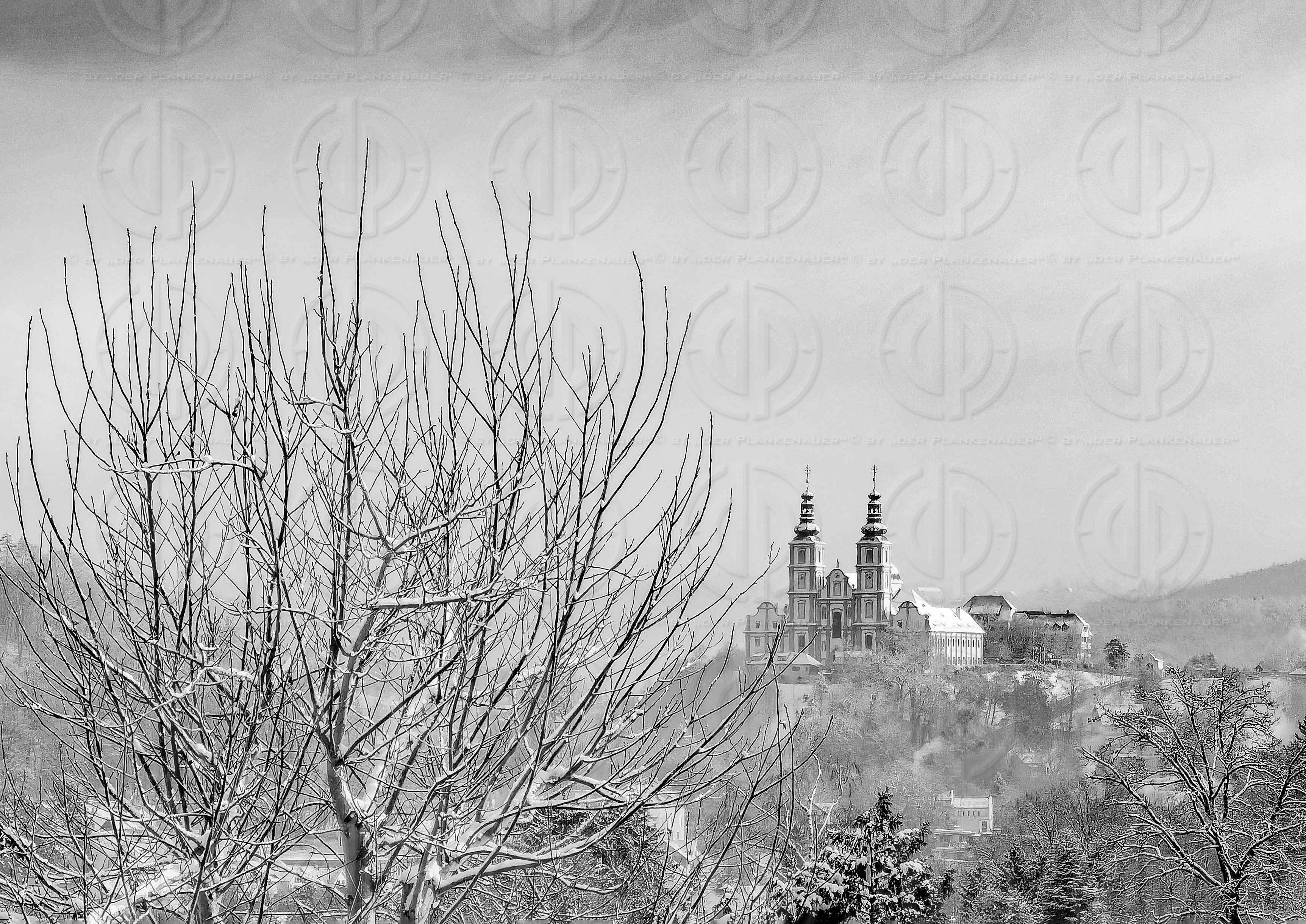 Sonntagslauf am 29.01.2023