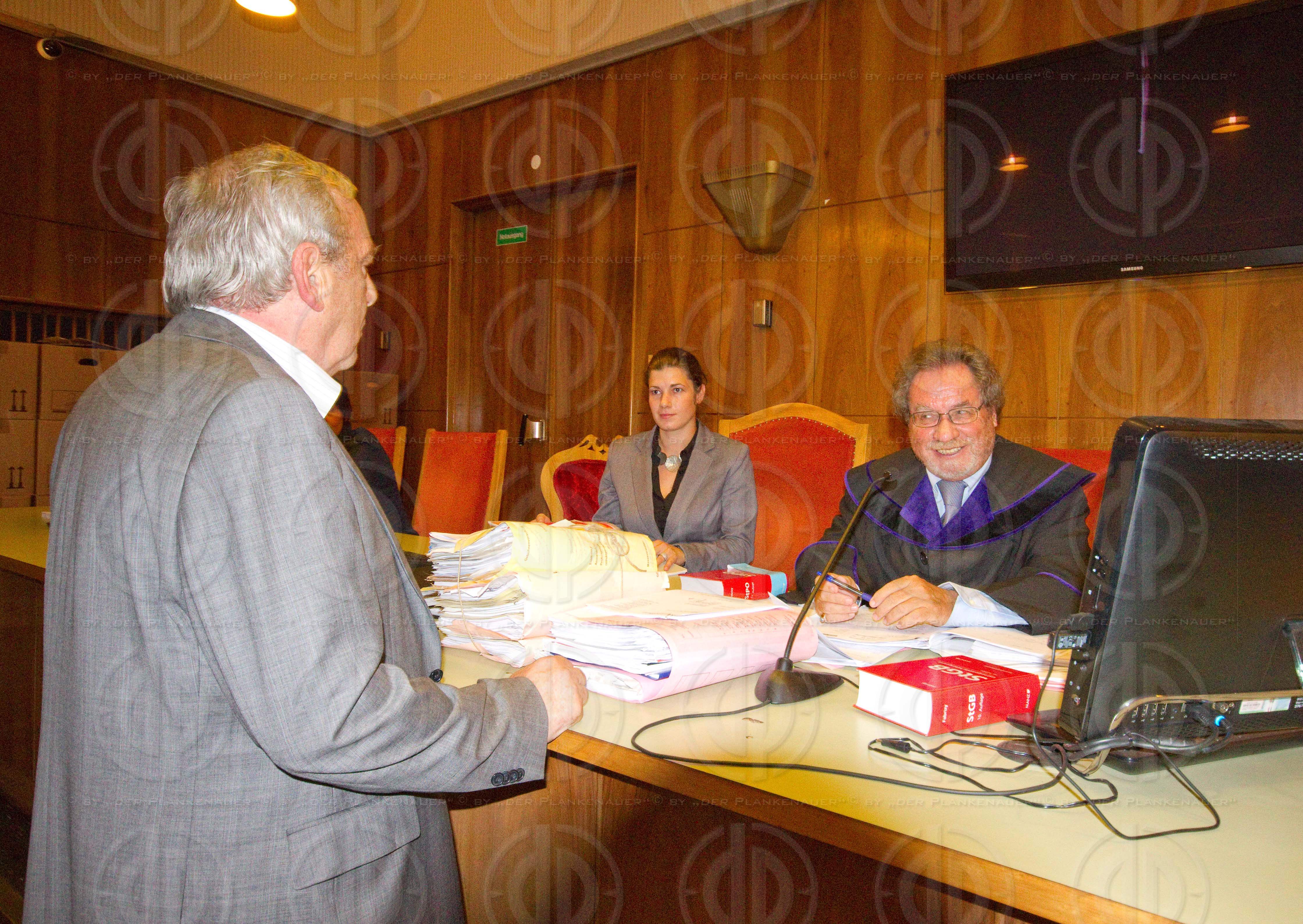 Strafverfahren gegen Hannes KARTNIG u.a.