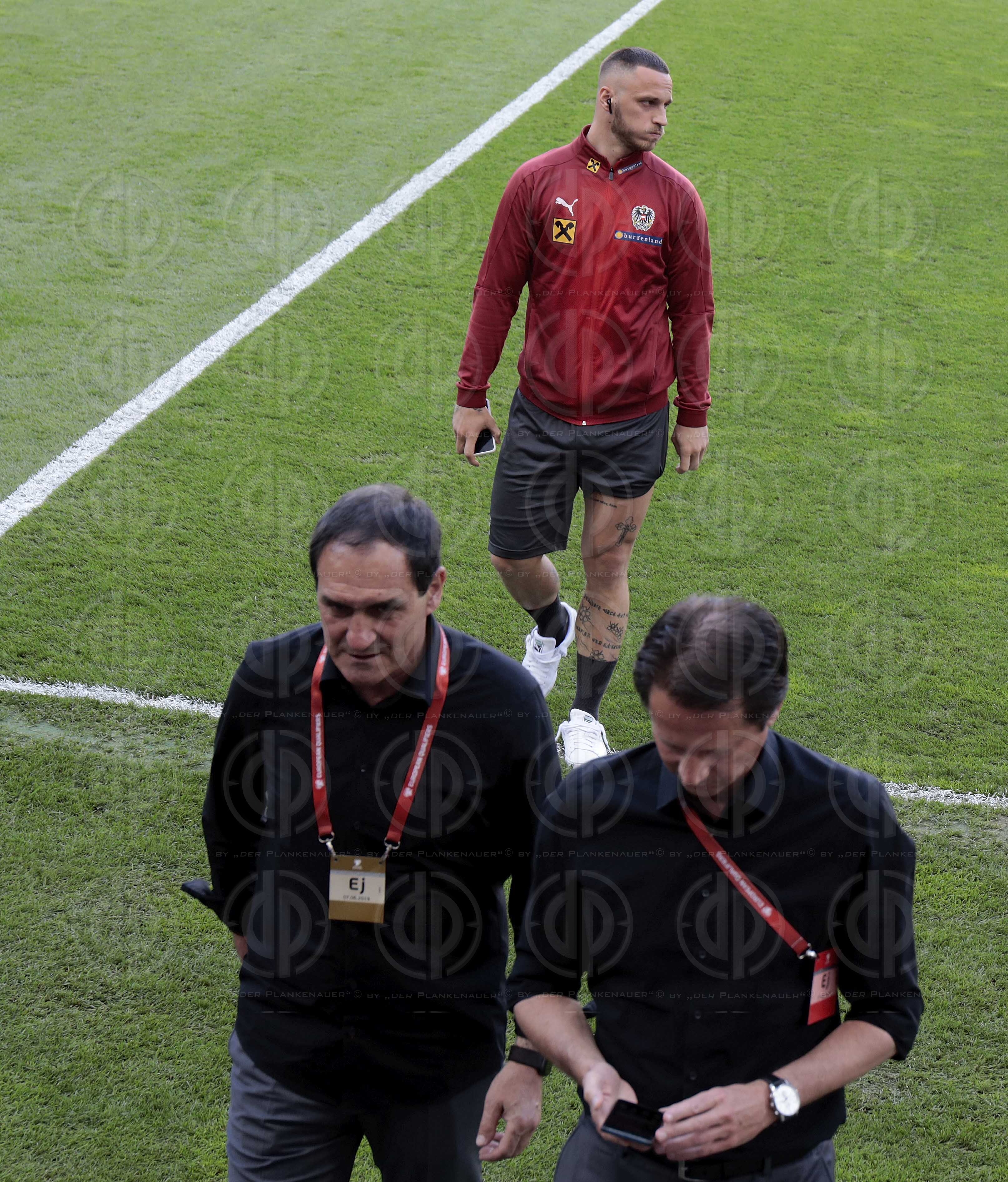 Länderspiel EM-Q. Österreich vs. Slowenien (1:0)