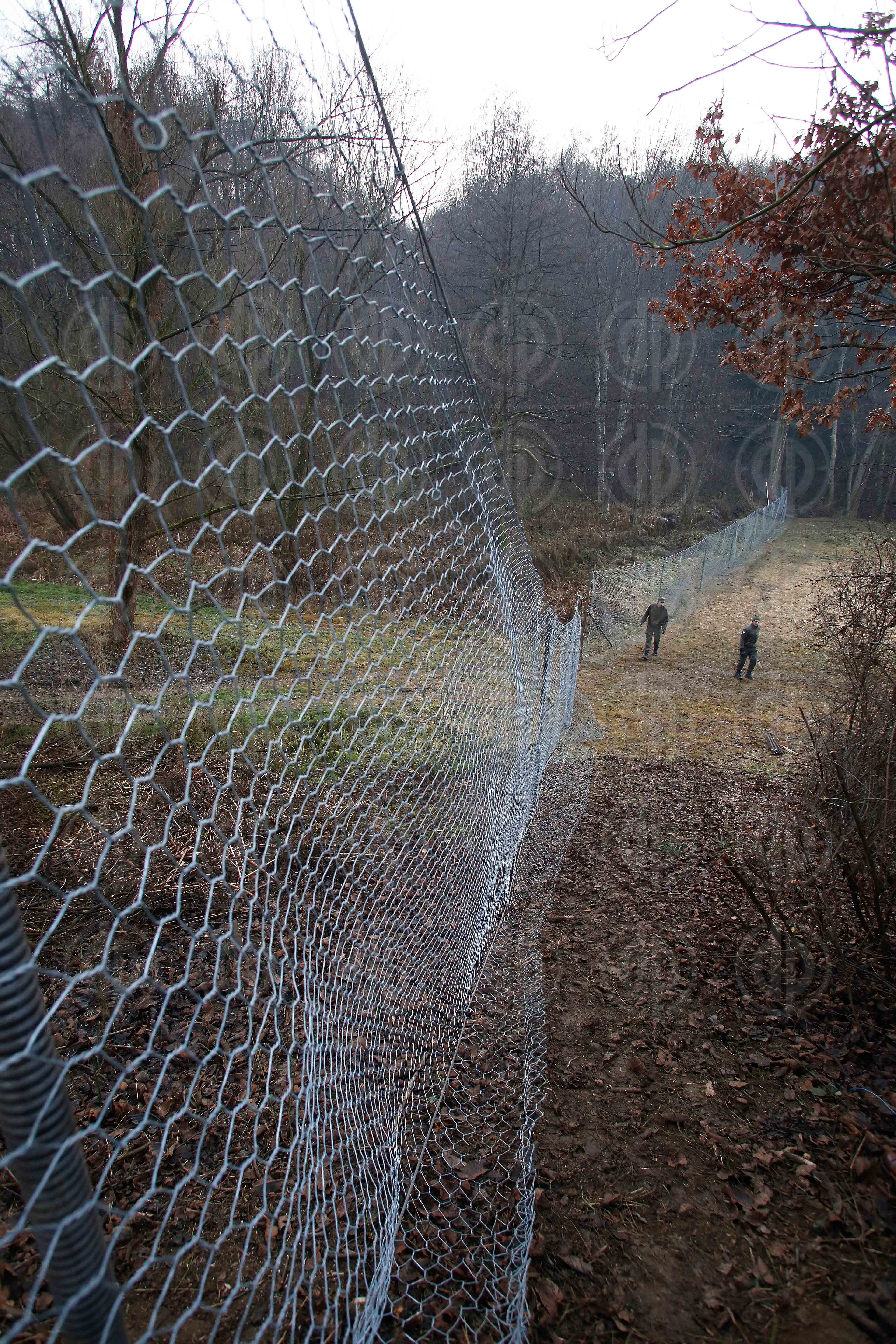 Lokalaugenschein in Spielfeld - Grenzzaun