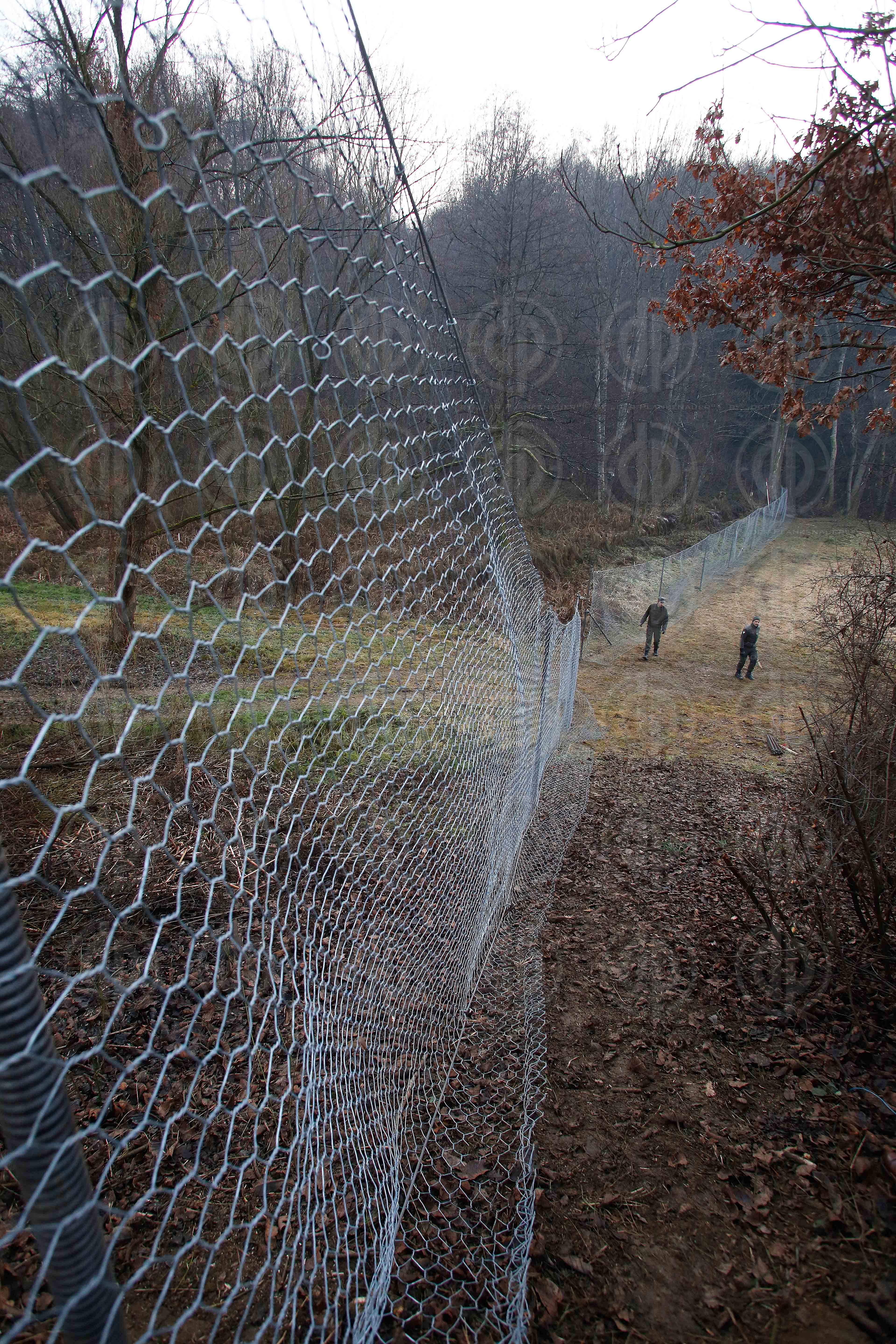 Lokalaugenschein in Spielfeld - Grenzzaun