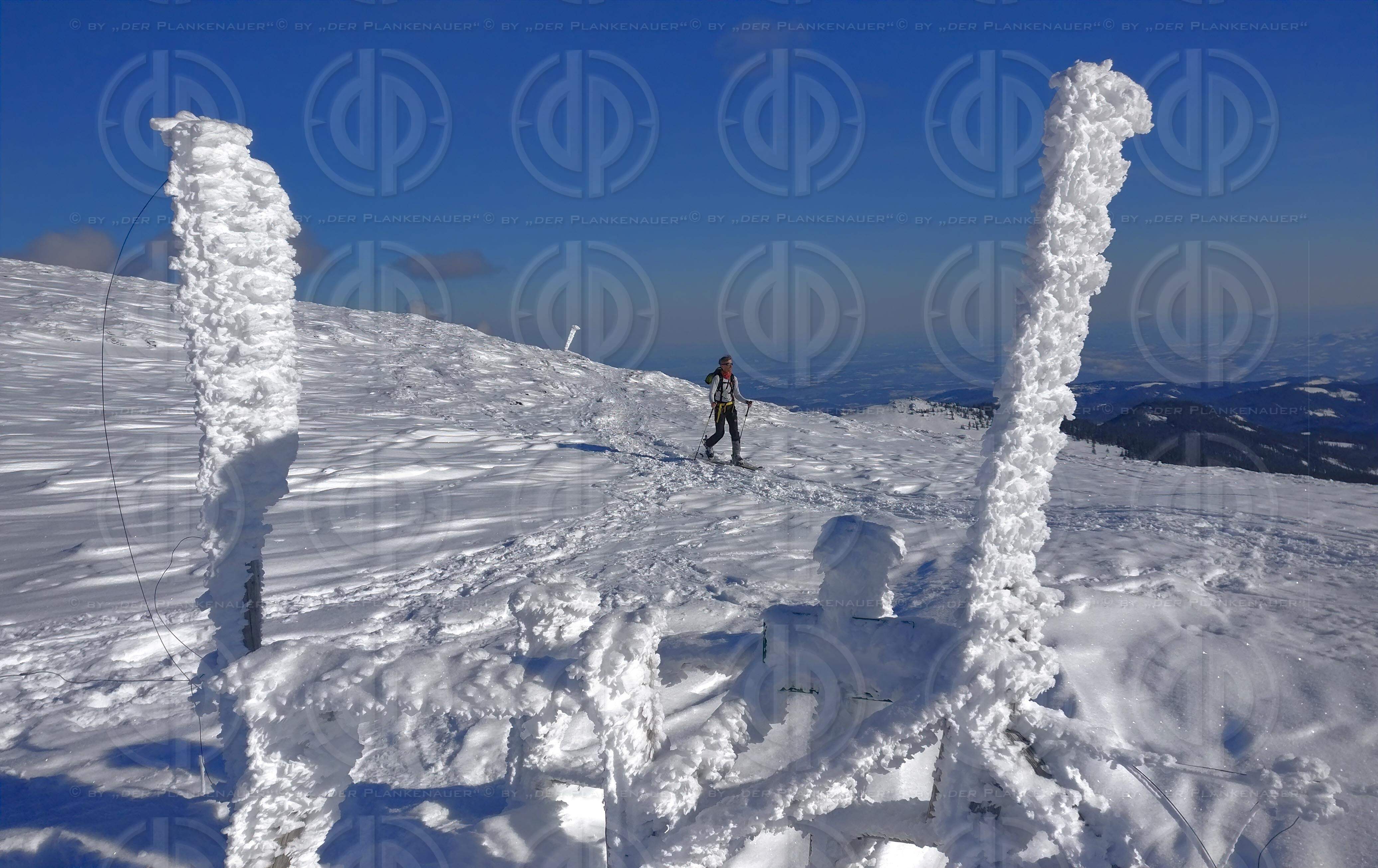 Schneeschuhwandern am 09.01.2021