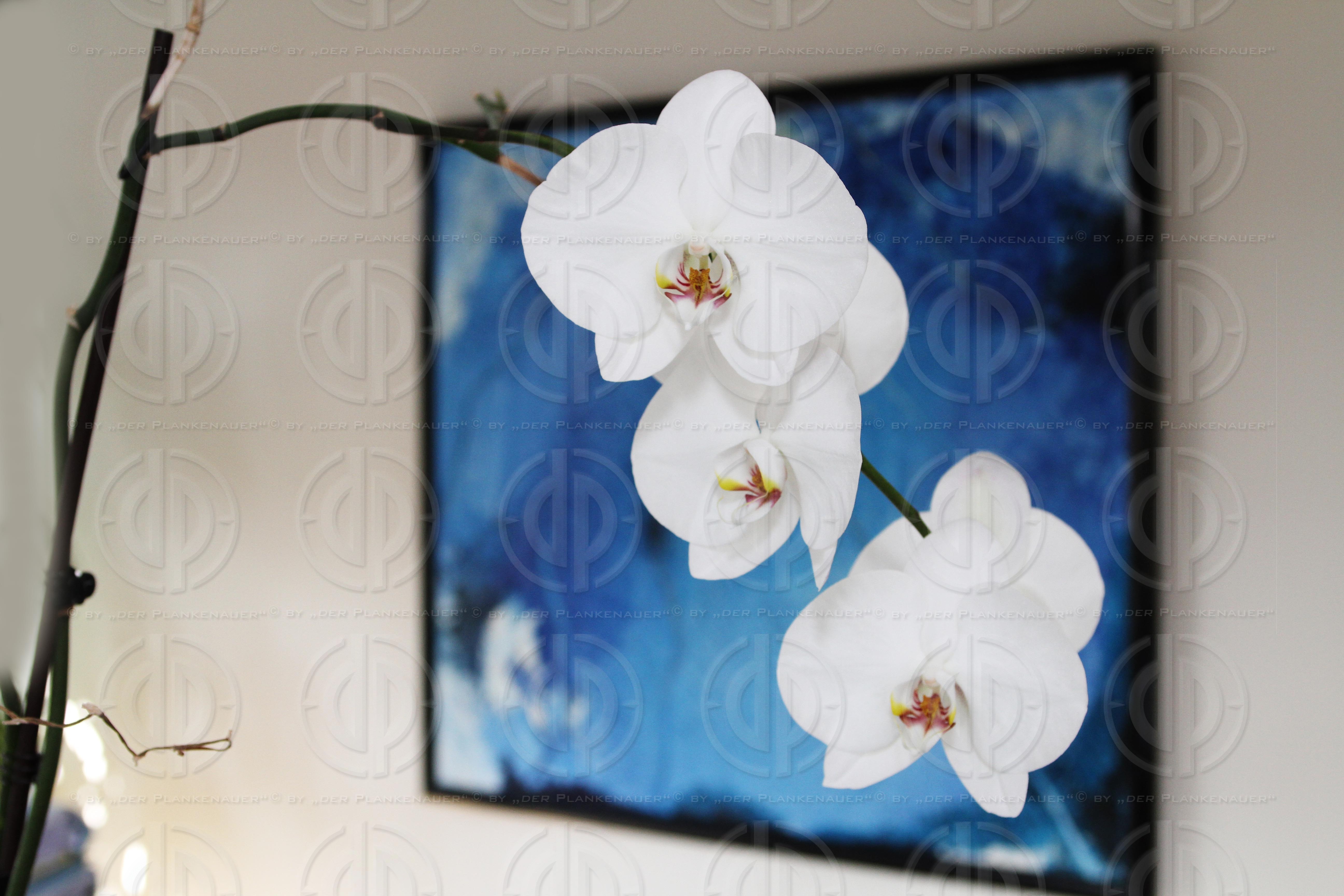 Rechtsanwälte Dr. Christandl und Partner