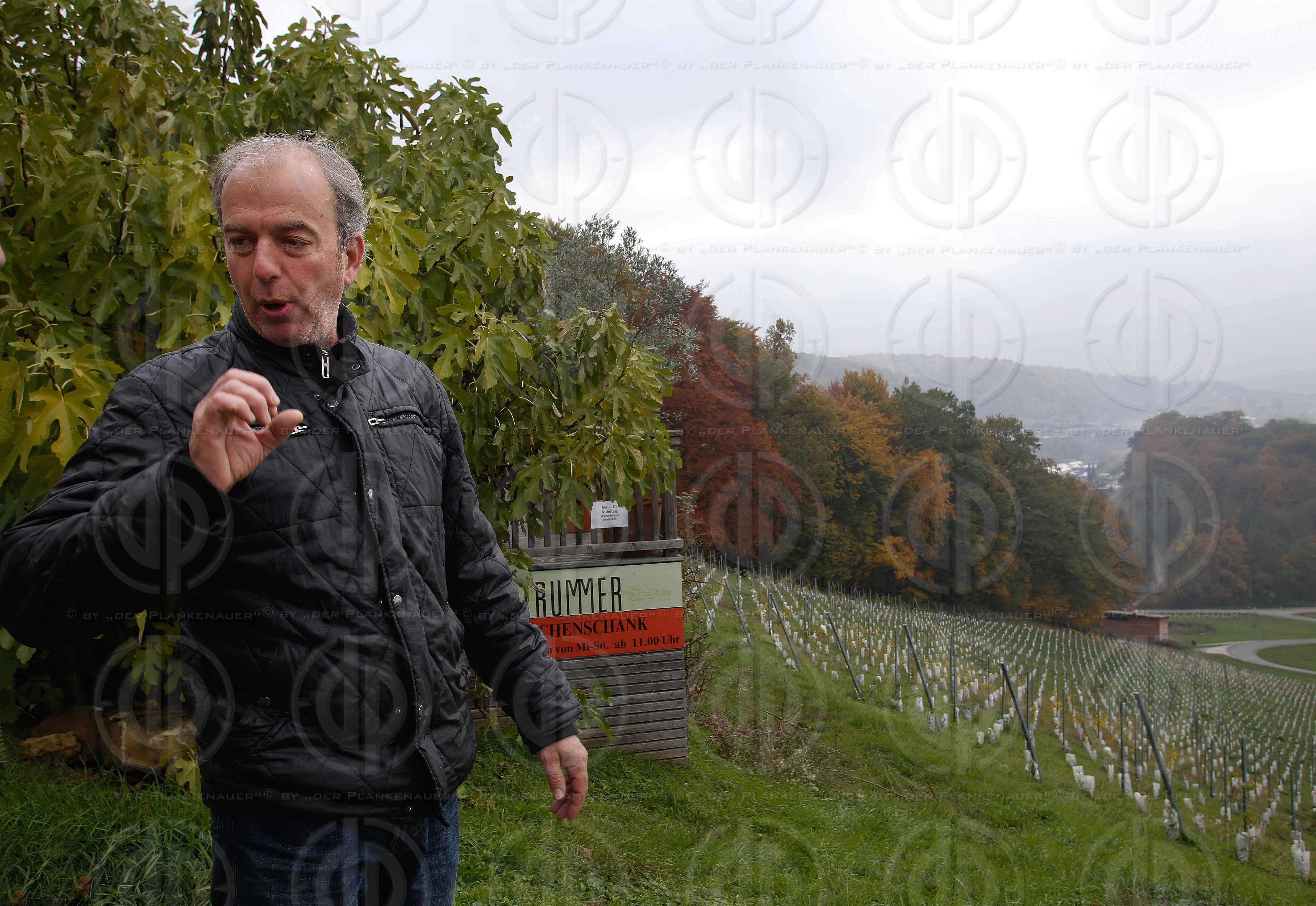 Fluechlingstragoedie an der Grenze in Strass-Spielfeld