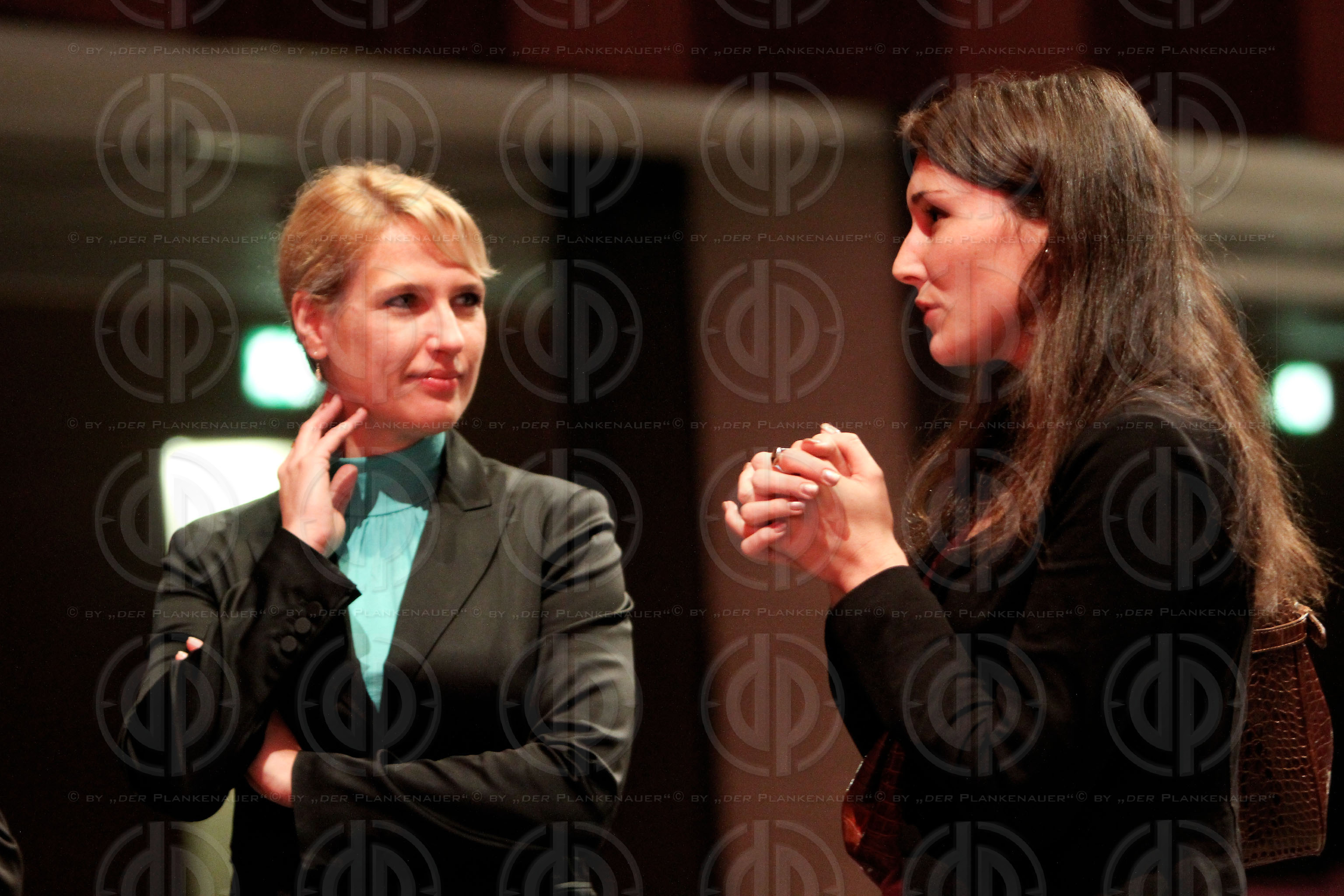 Frank Stronach im Gespräch