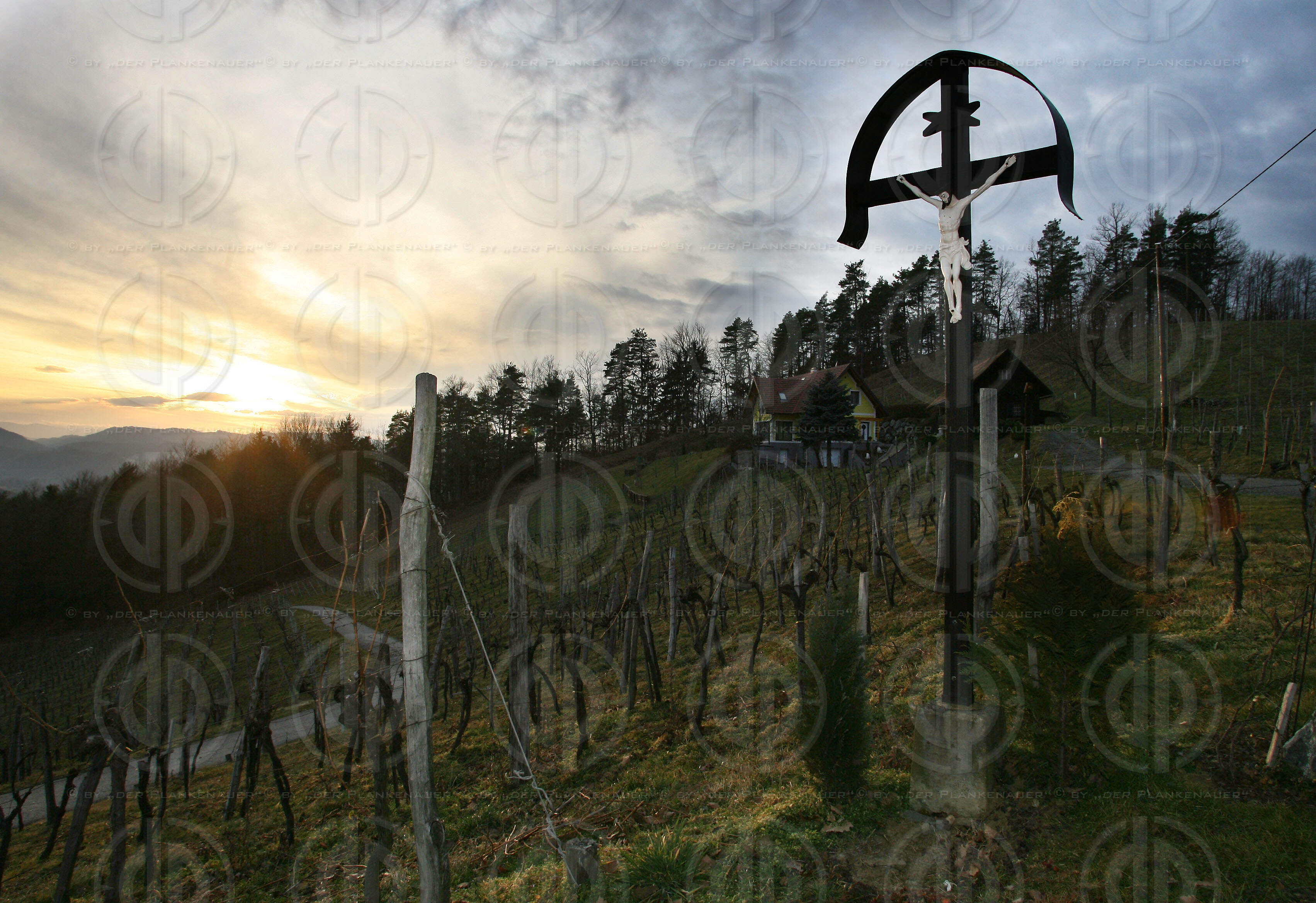 Steirisches Weinland